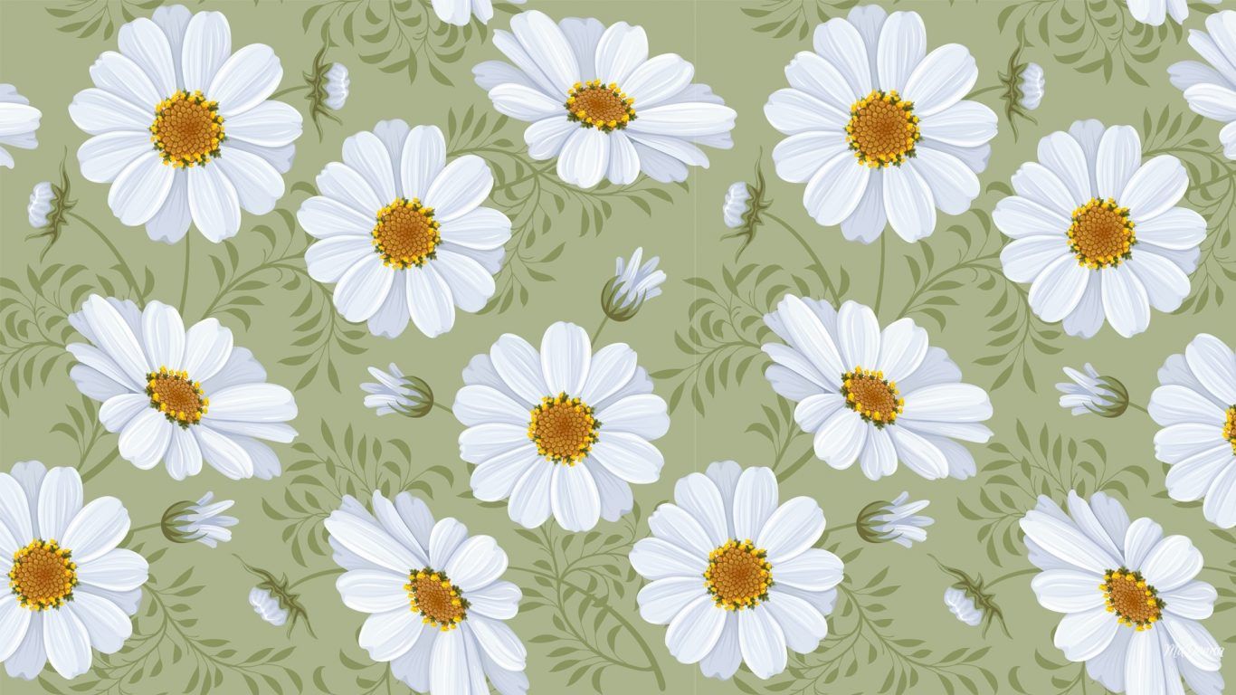 A pattern of white daisies on green background - Daisy