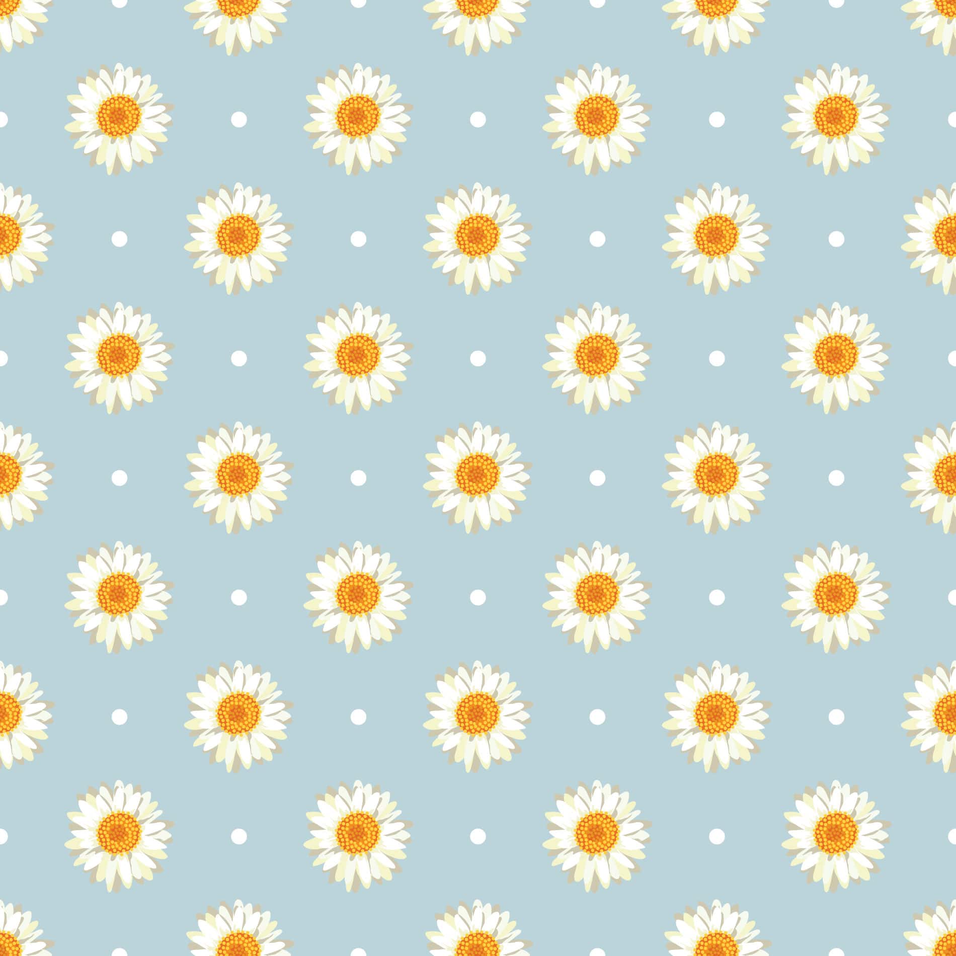 Aesthetic Daisies Polka Dot Wallpaper And Stick Or Non Pasted