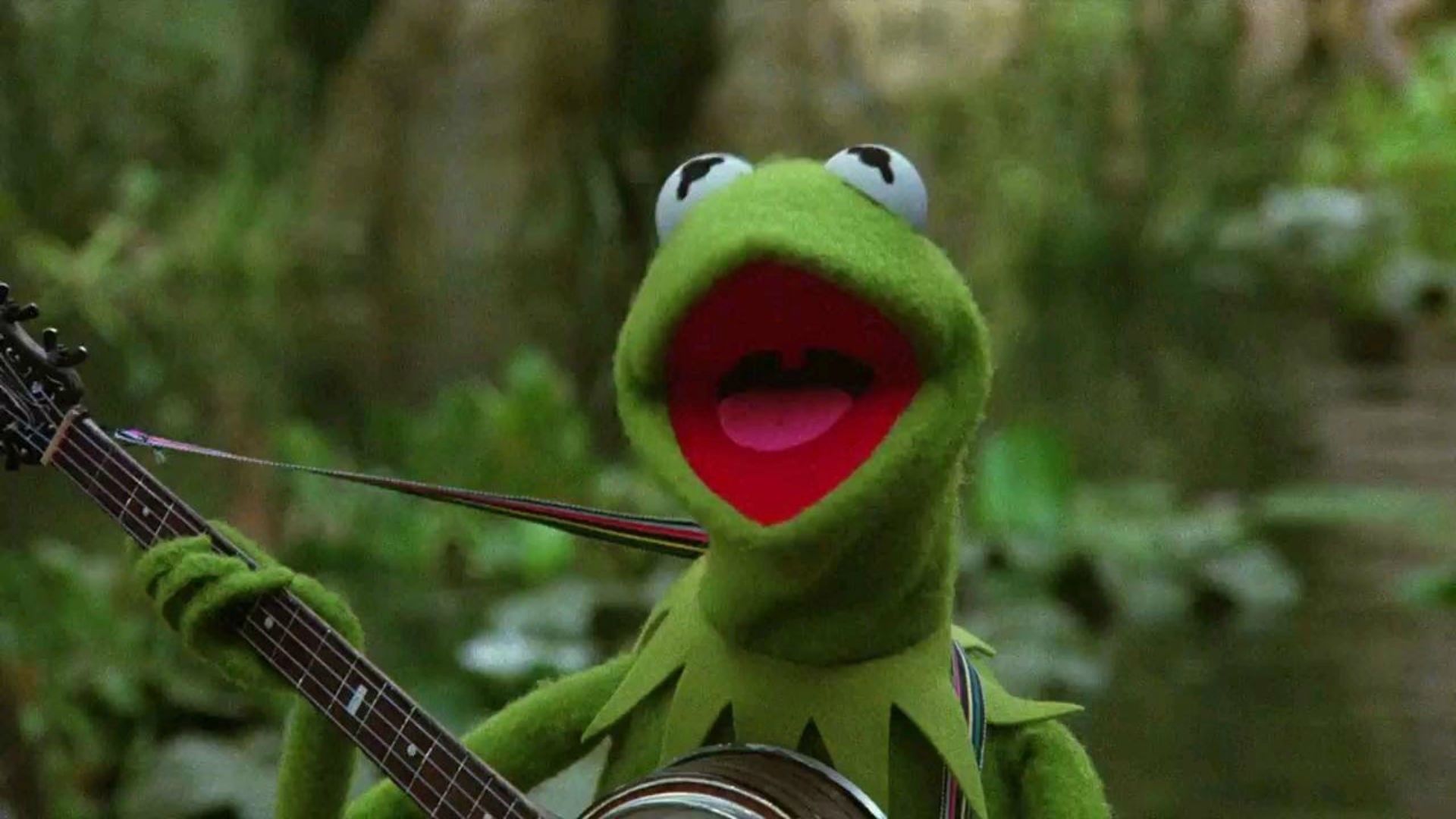 Hearts Kermit the Frog Wallpaper