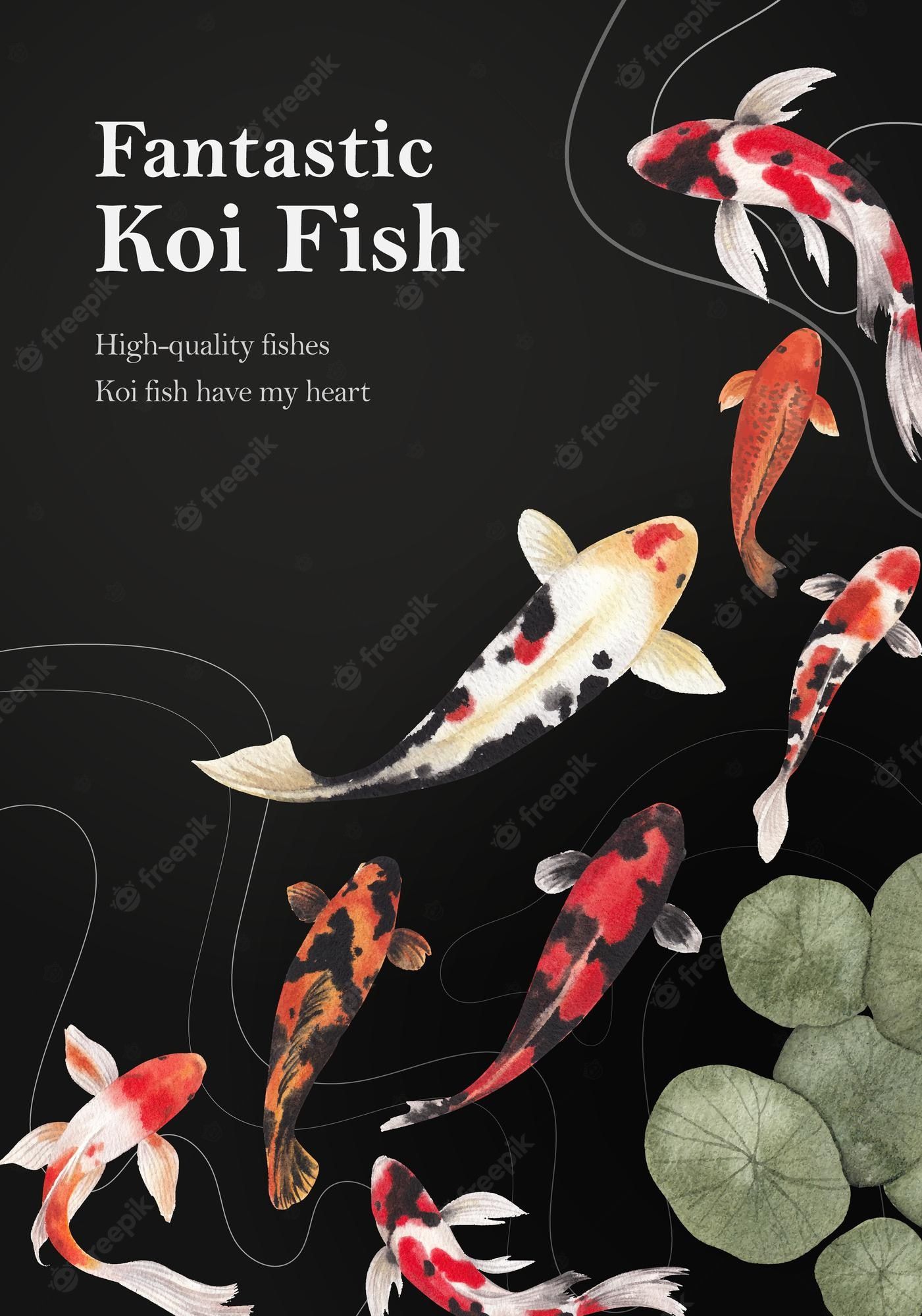 Premium Vector. Poster with koi fish concept, watercolor style
