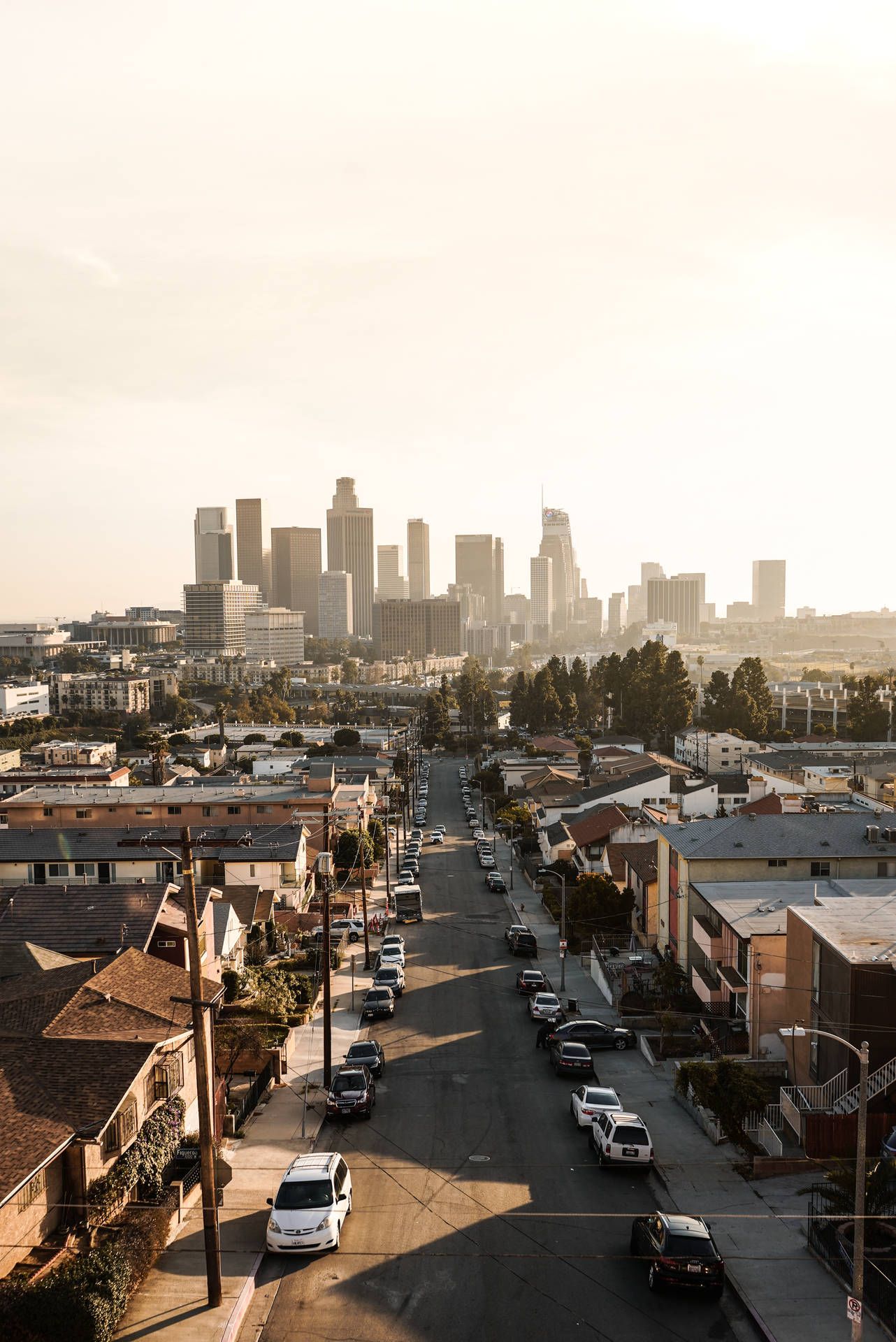 A view of the downtown Los Angeles skyline from a residential neighborhood. - Los Angeles