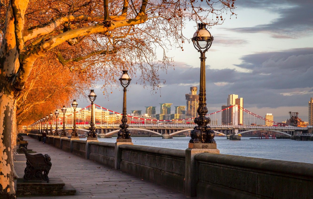 The embankment of the river Thames in London - London