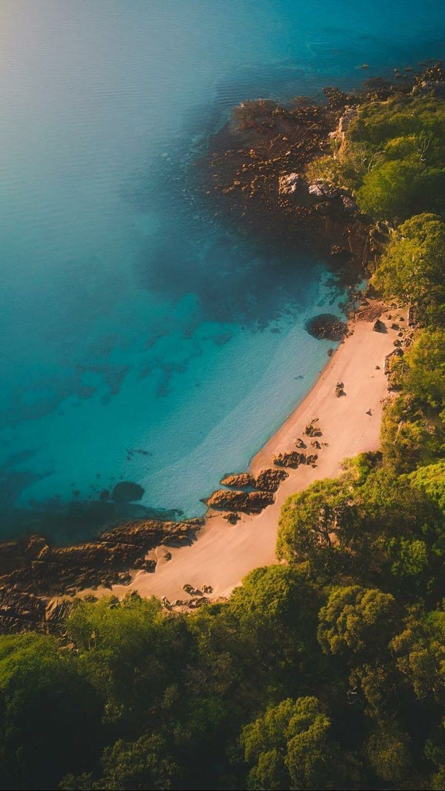 Aerial view of a beach surrounded by trees - Nature