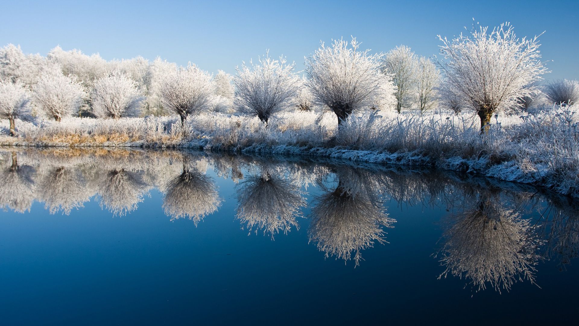 A winter landscape with trees covered in snow and their reflection in the water. - Nature