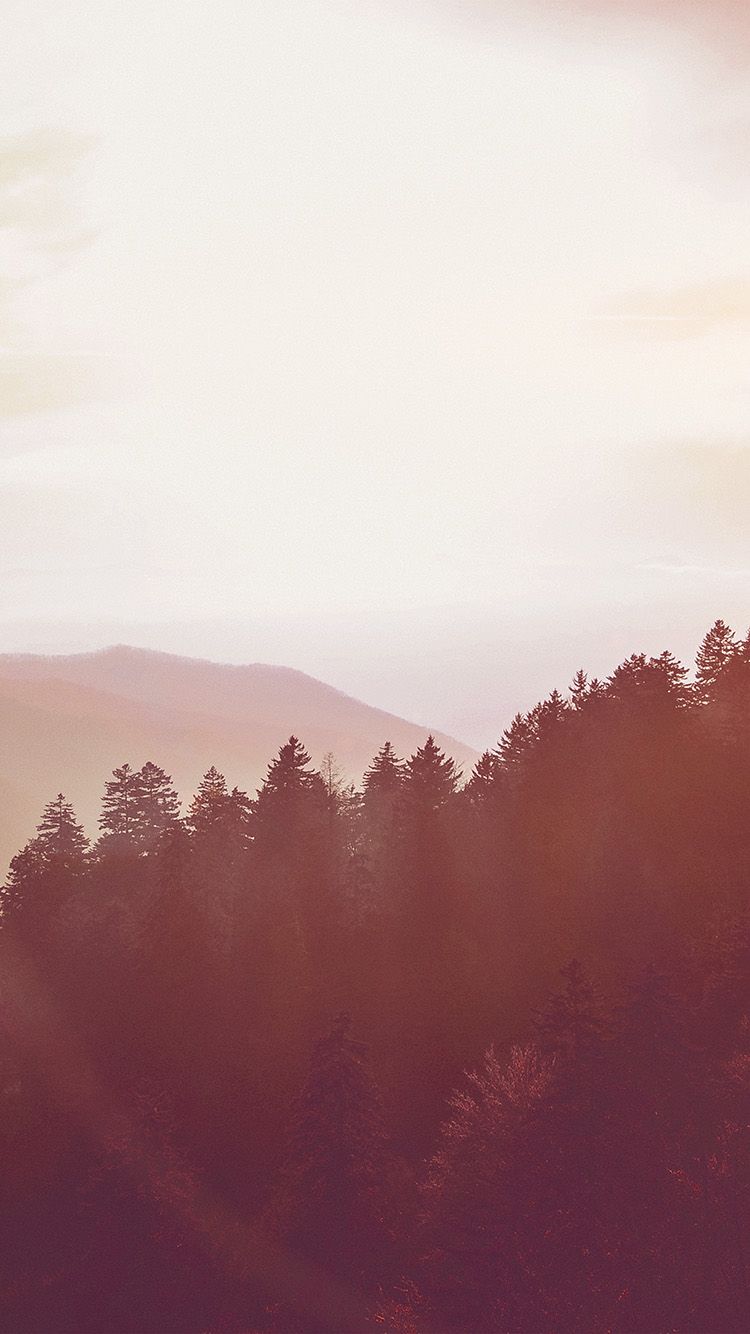 A forested mountain range bathed in pink light - Nature, mountain
