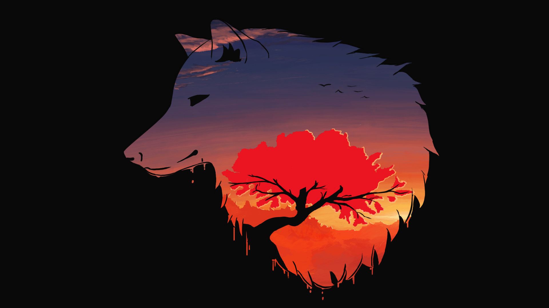 A wolf with the sun setting in its background - Wolf