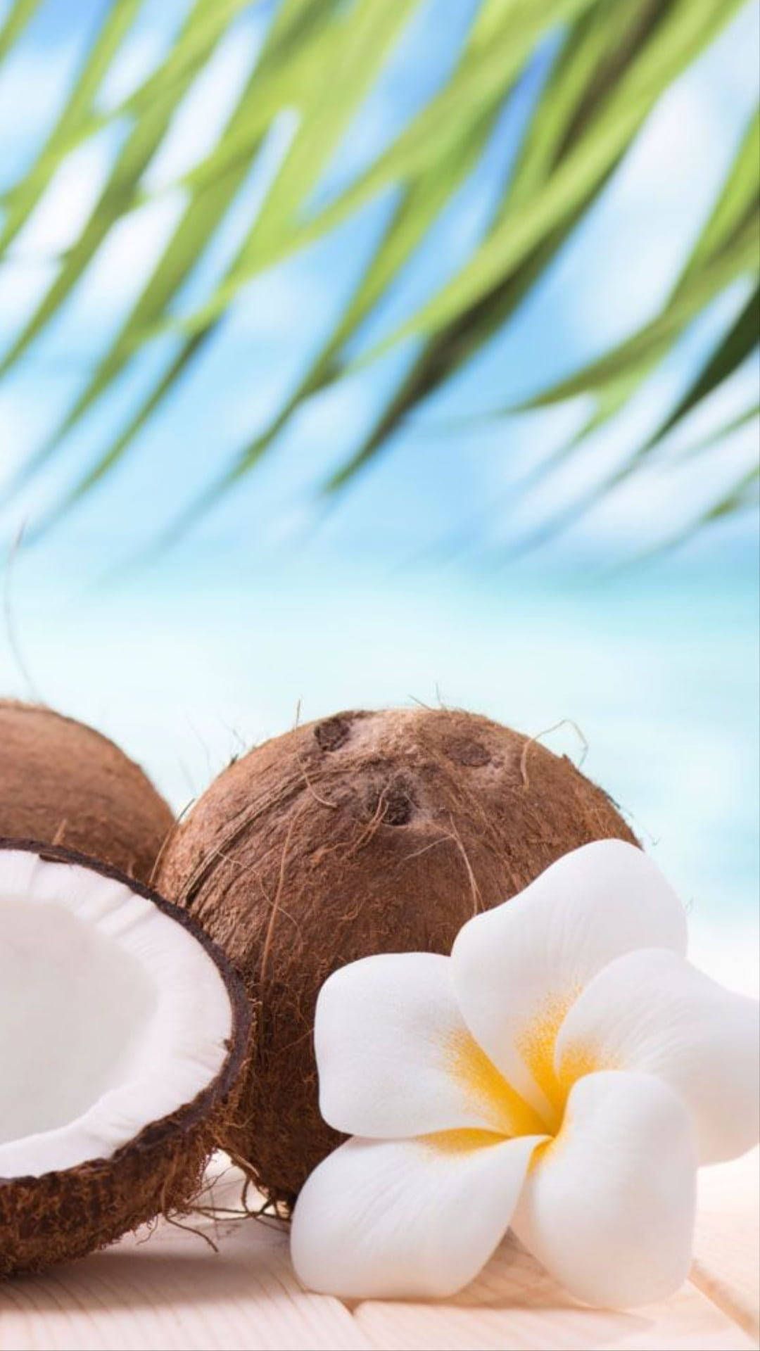 Coconut oil for hair - Coconut