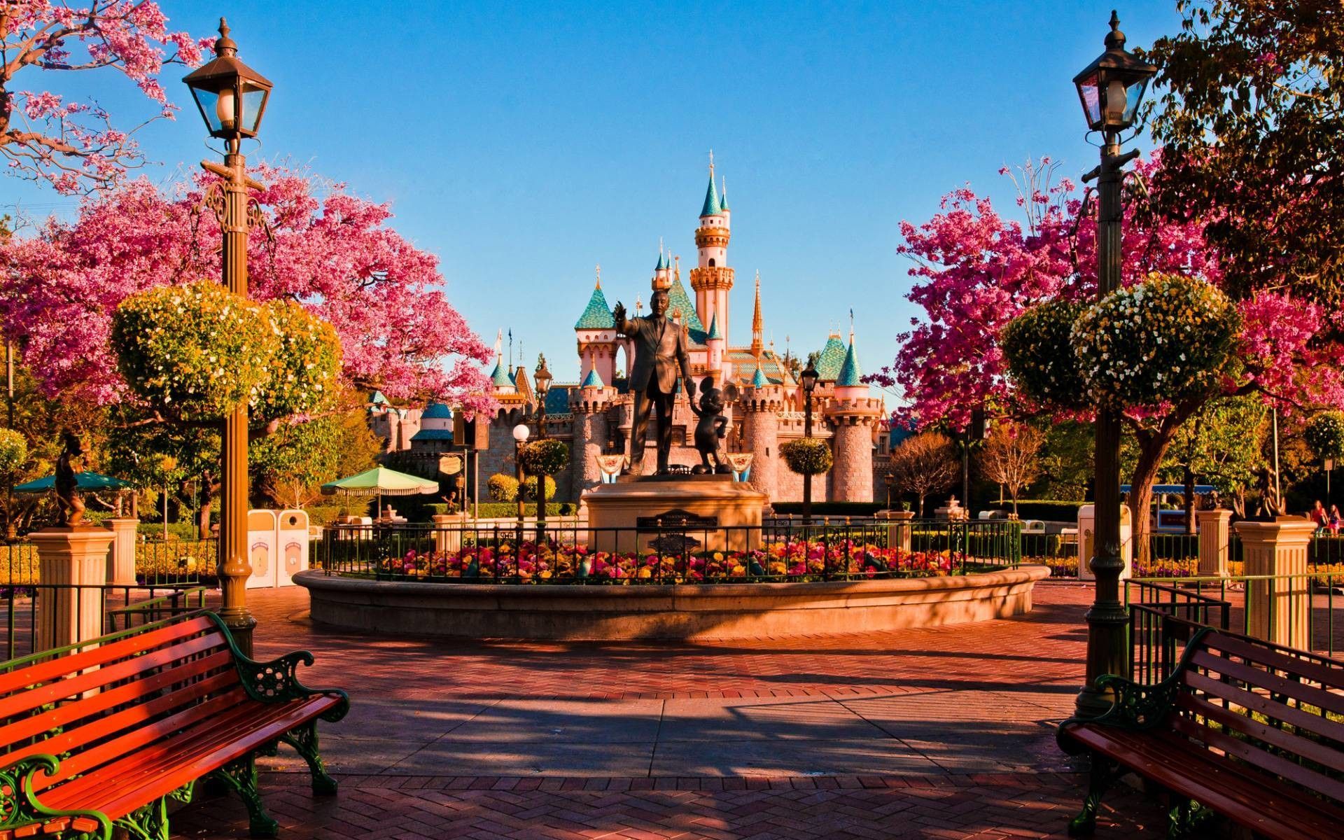 A beautiful view of Disneyland with a pink blooming tree in the foreground and a beautiful castle in the background. - Disneyland