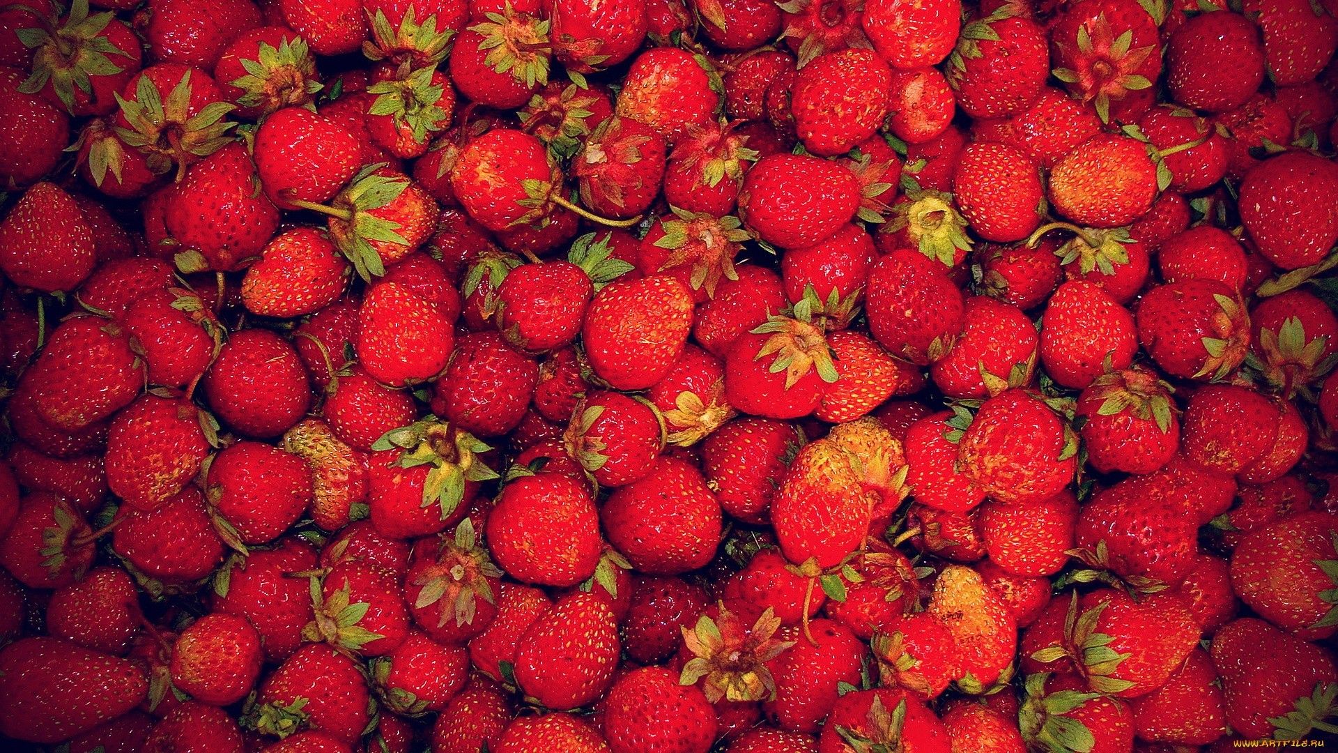 A close up of many strawberries on the ground - Strawberry