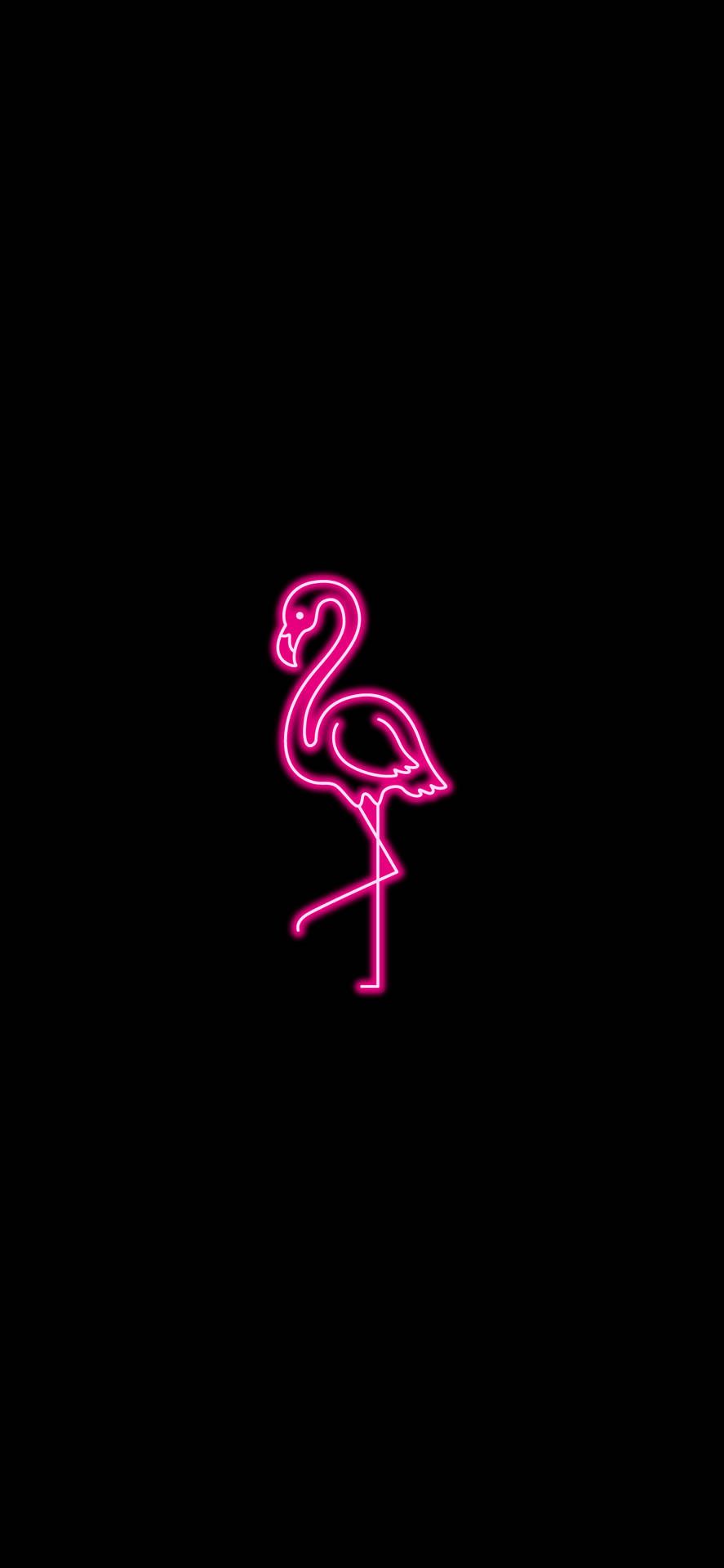 A pink neon flamingo on a black background - Neon pink, flamingo