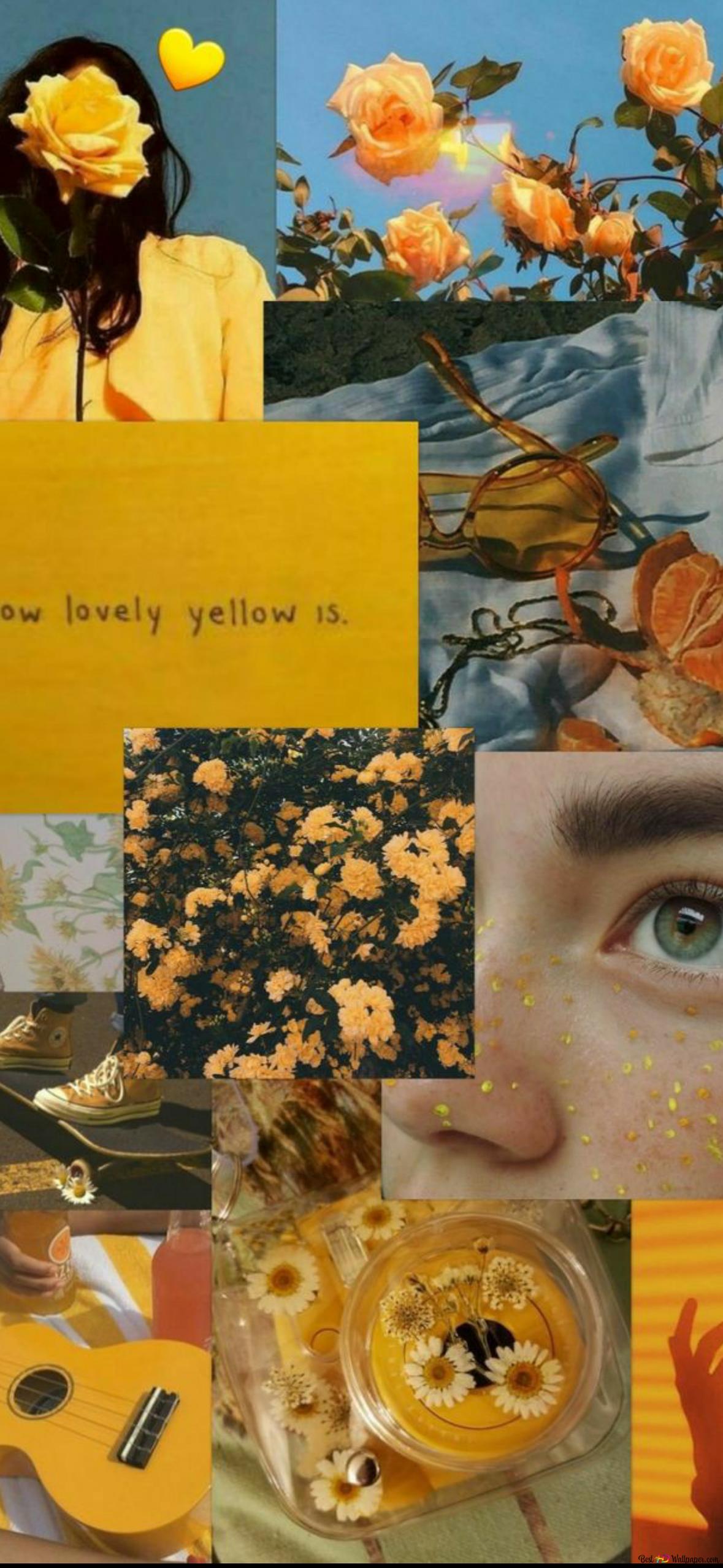 A collage of pictures with yellow and orange - Honey