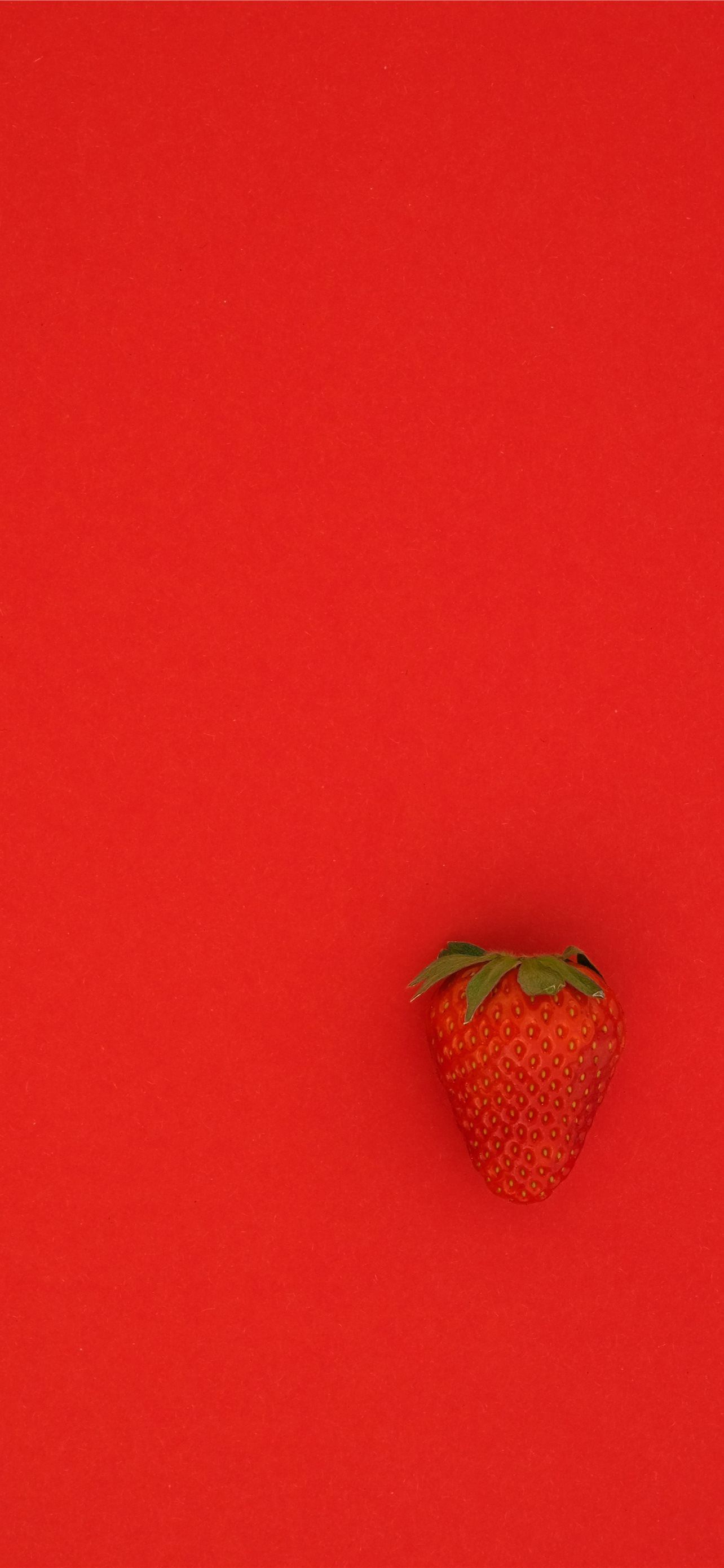 A single strawberry on a red background - Strawberry