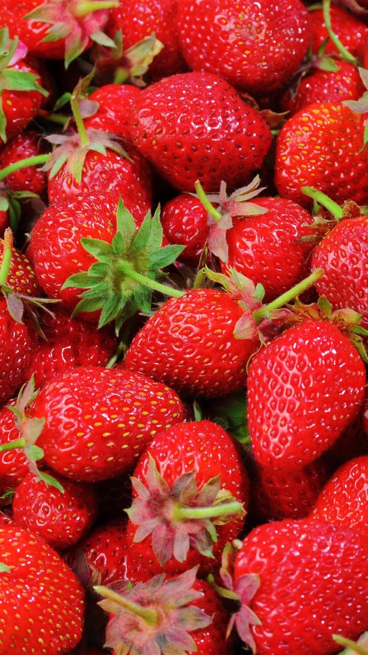 A close up of many red strawberries - Strawberry