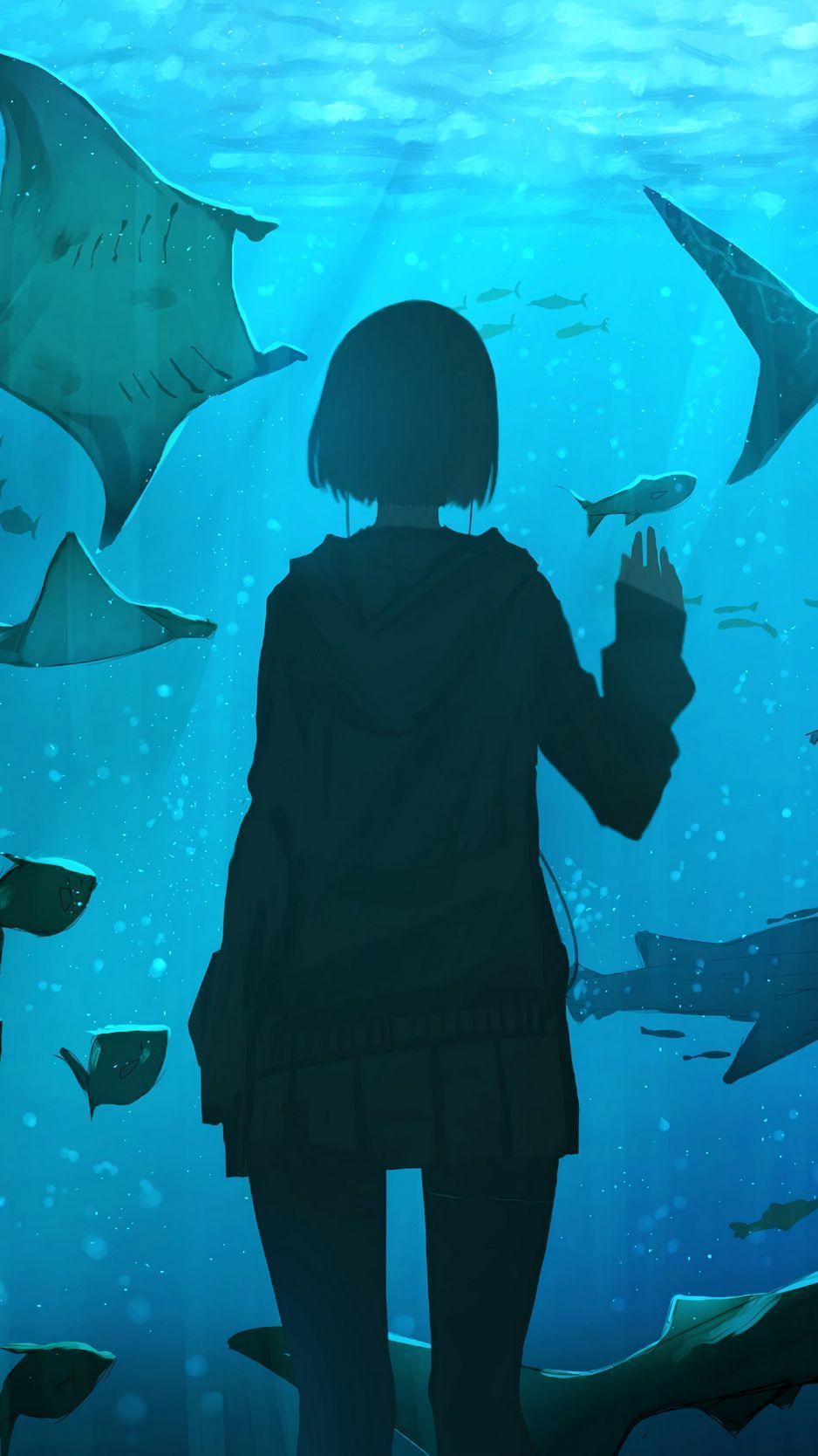 A woman standing in front of many fish - Underwater, fish