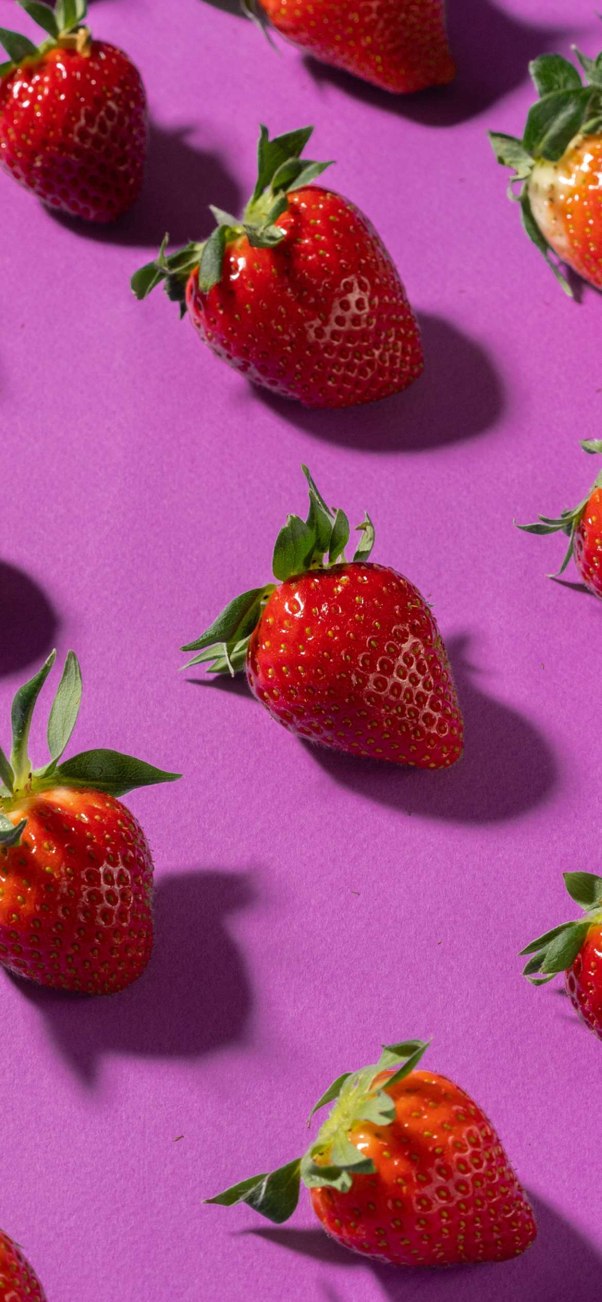 A purple background with strawberries - Strawberry