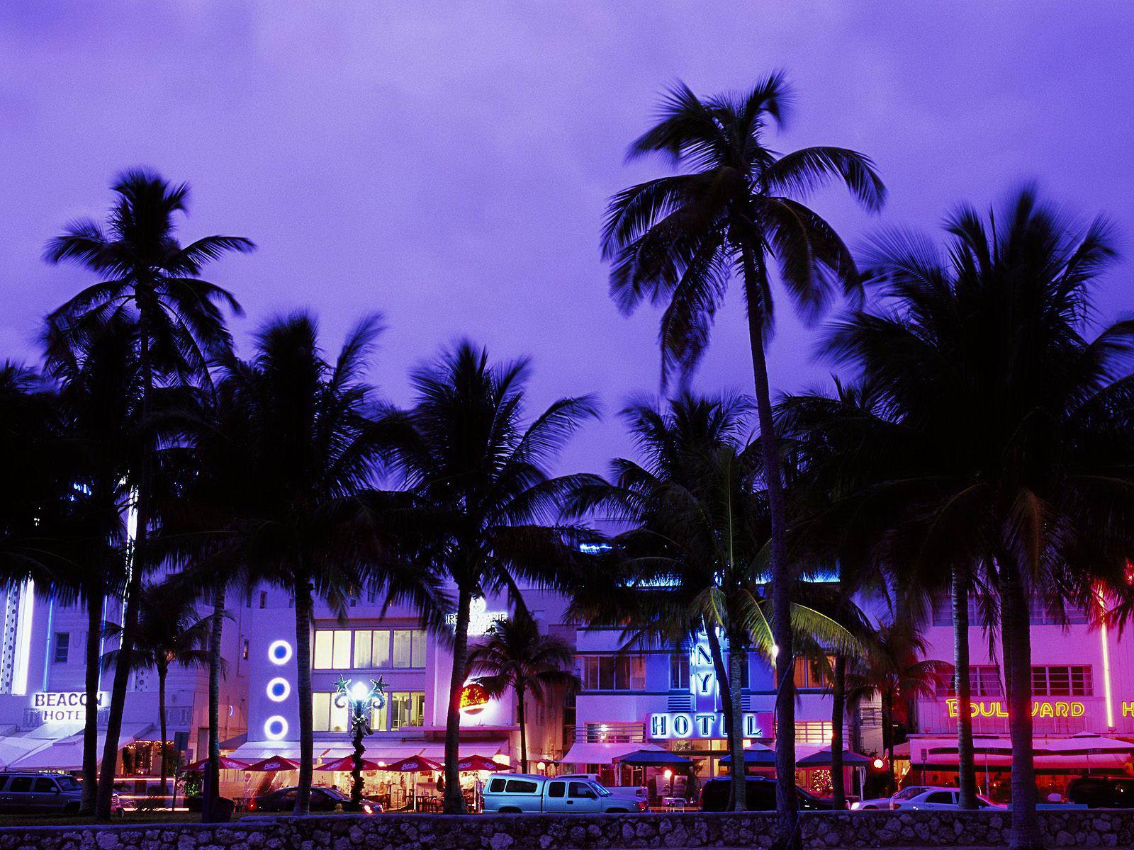 A purple sky with palm trees and buildings - Miami