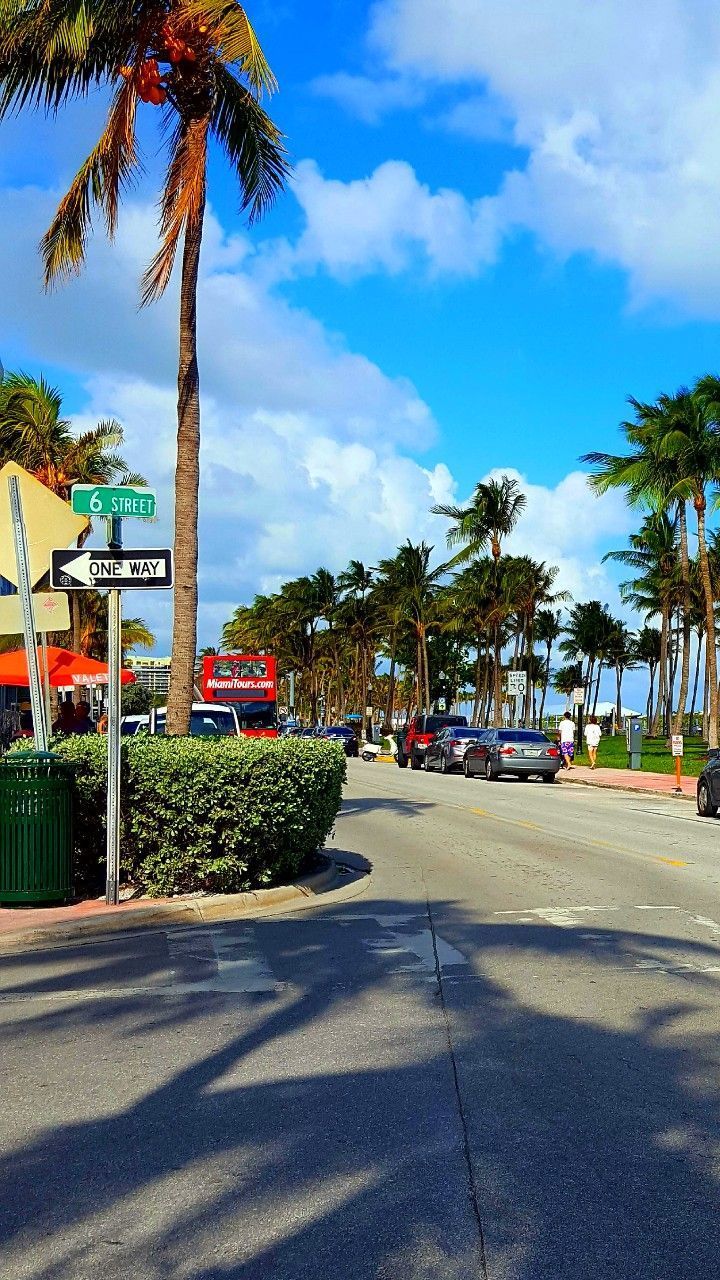 A street with palm trees and cars - Miami