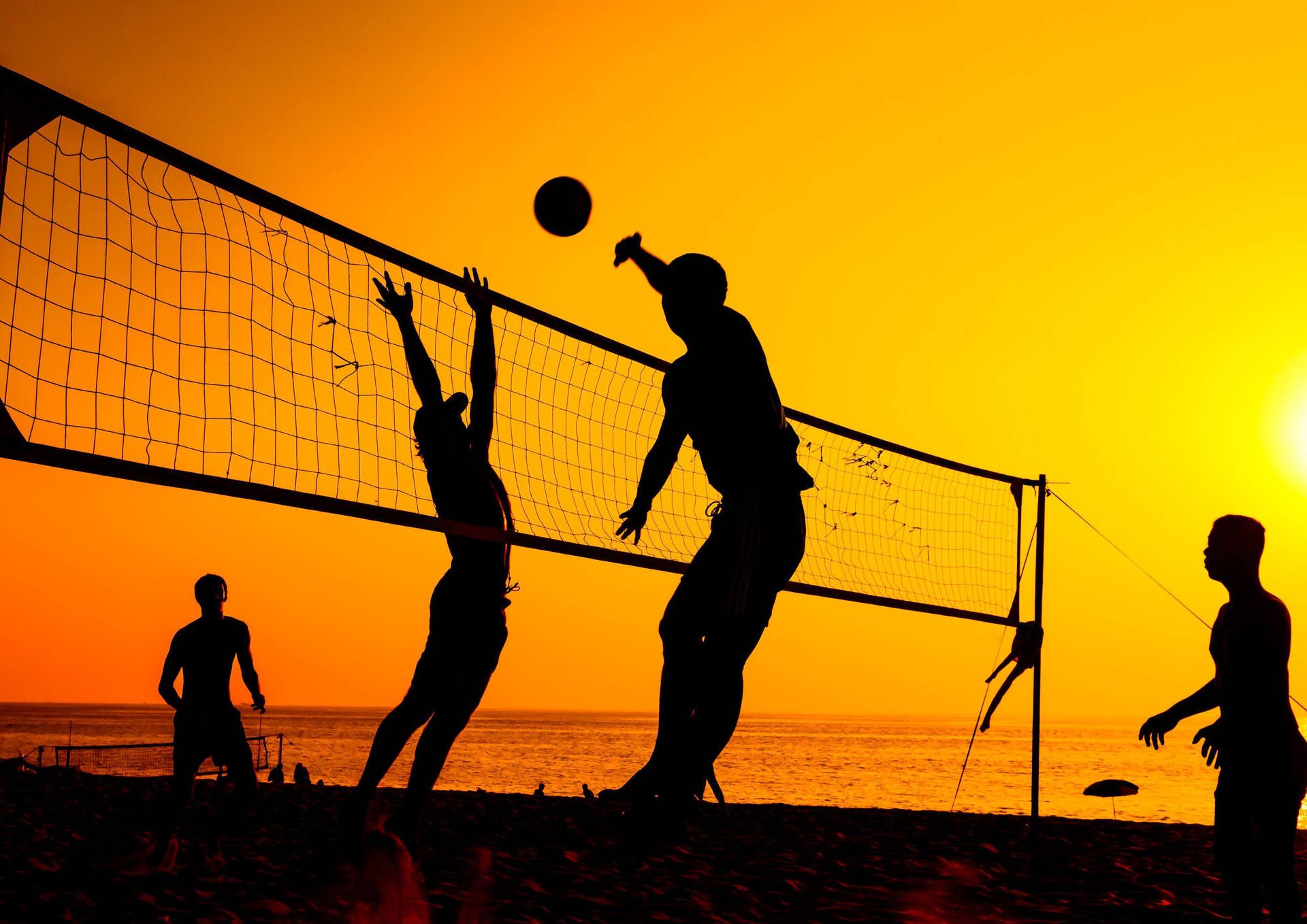 Free Volleyball Wallpaper Downloads, Volleyball Wallpaper for FREE