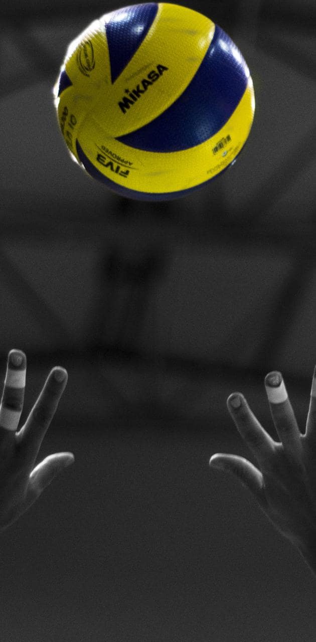 Volleyball Wallpaper