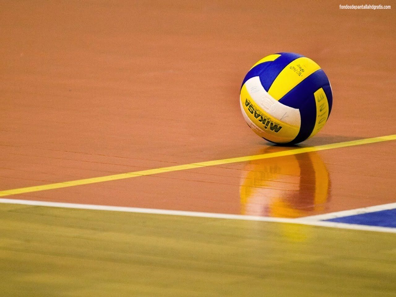 Free Volleyball Wallpaper and Background
