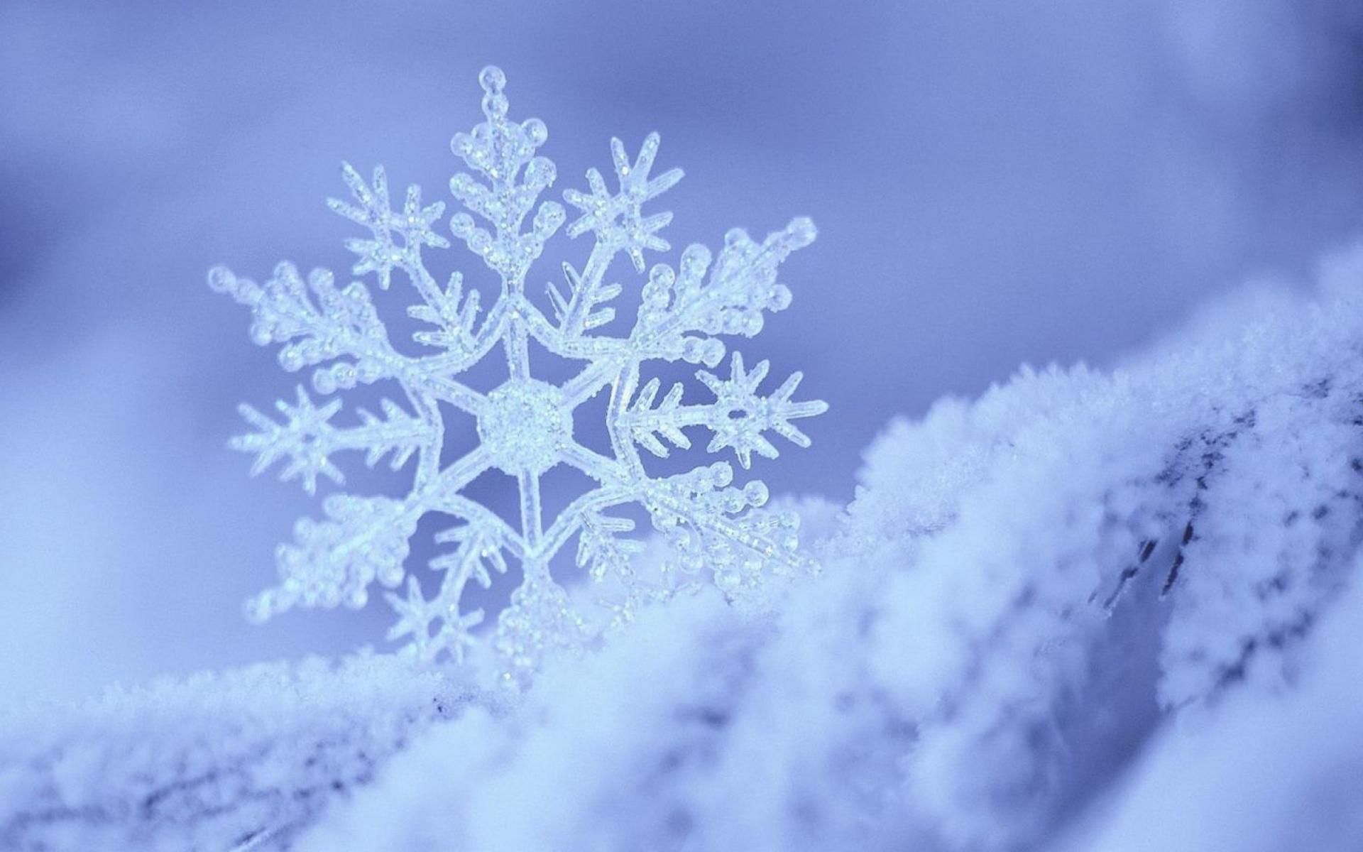 Beautiful Snowflake Wallpaper Free Beautiful Snowflake Background