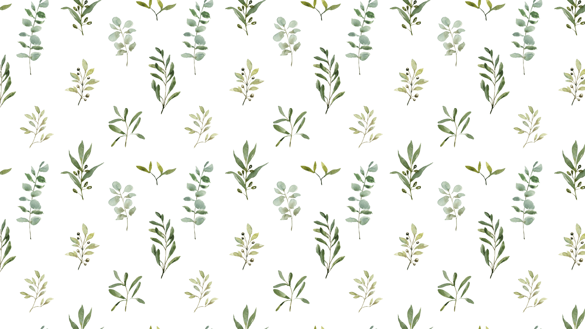 A pattern of green leaves on a white background - Leaves, green, sage green, light green, watercolor