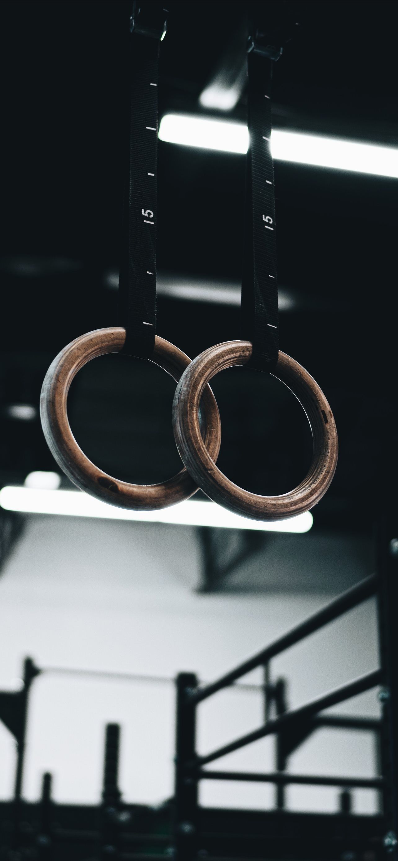 A pair of wooden gymnastic rings hanging from a black strap - Gymnastics