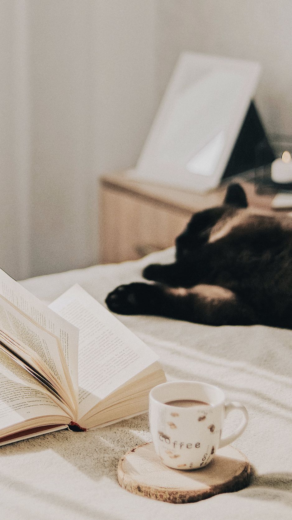A cat laying on the bed with an open book and cup - Coffee