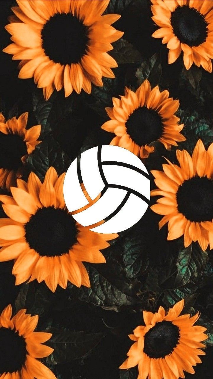 A volleyball is surrounded by orange sunflowers - Volleyball