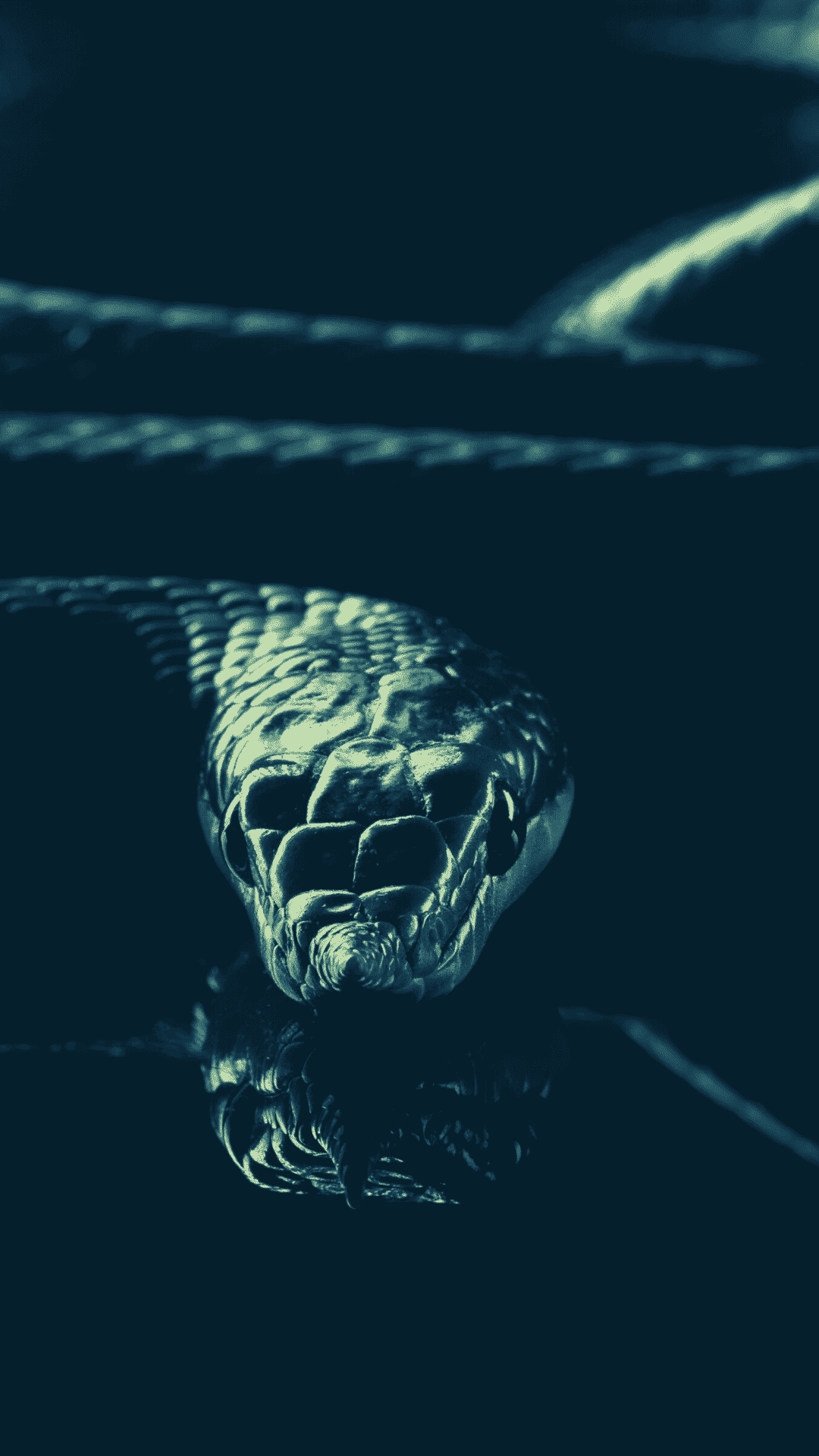 A snake's head peeks out of the water. - Snake, Slytherin