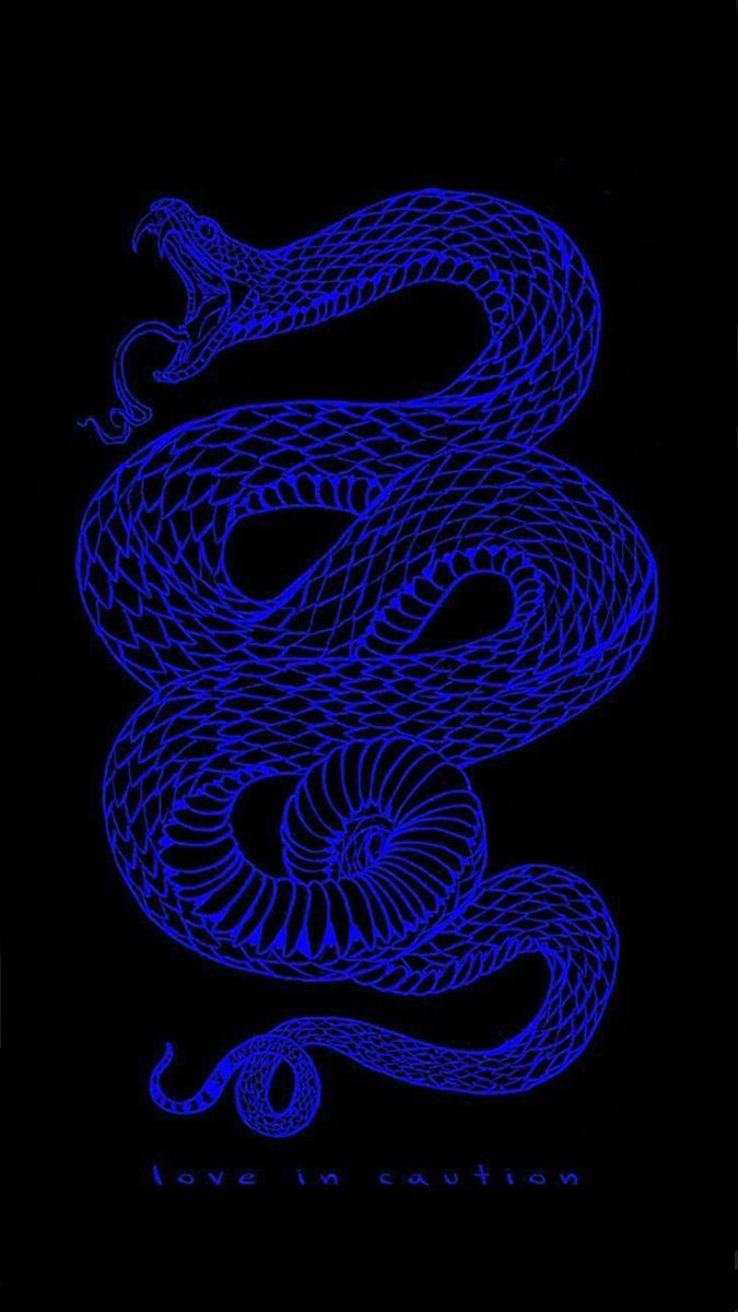 Neon blue snake on black background phone wallpaper love in caution written at the bottom - Snake