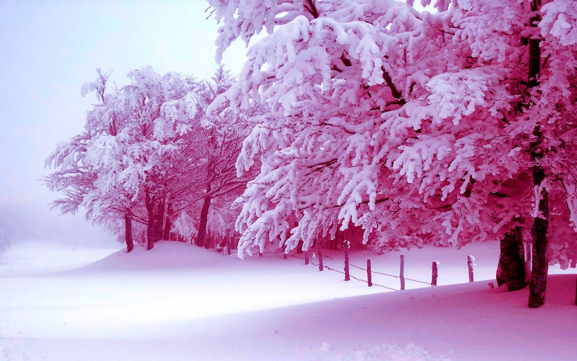 Download Pink Tree Snow Aesthetic Wallpaper