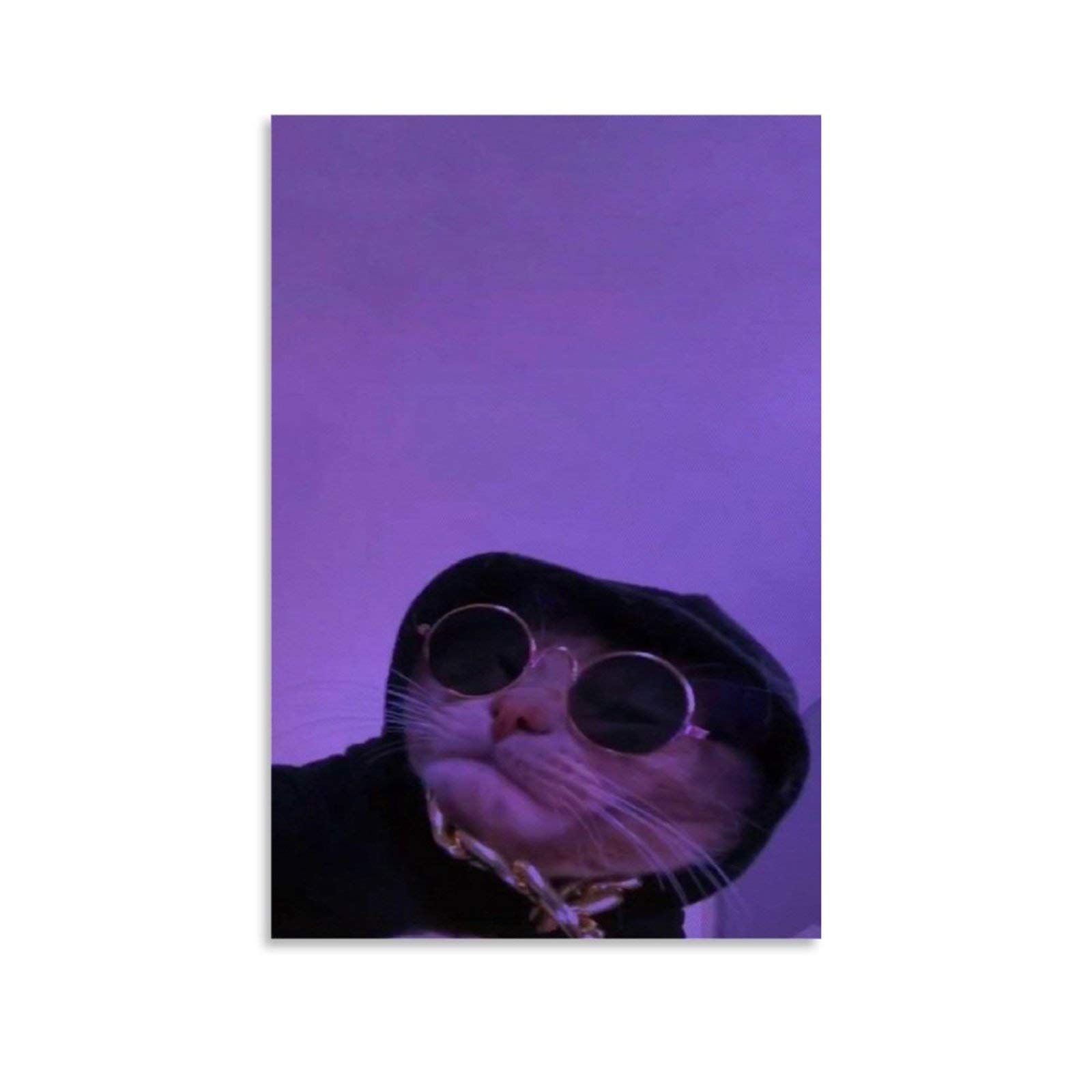 A cat wearing sunglasses and sitting in front of an image - Cat