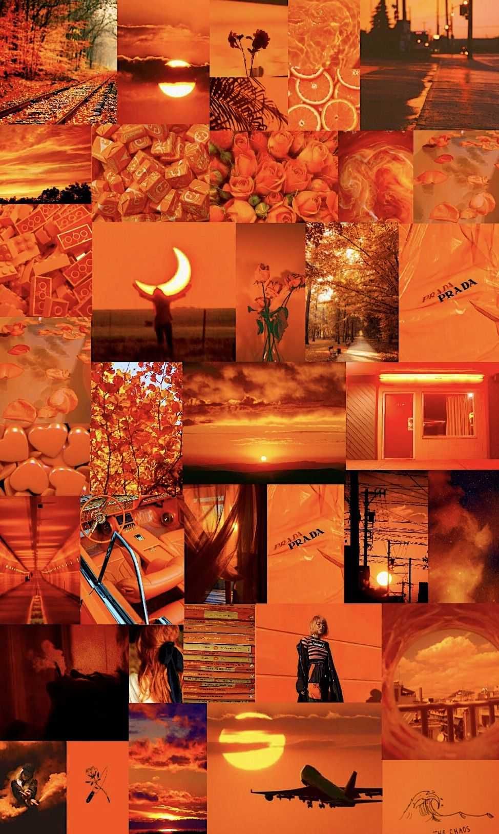 A collage of pictures that are orange - Dark orange, neon orange, orange, pastel orange