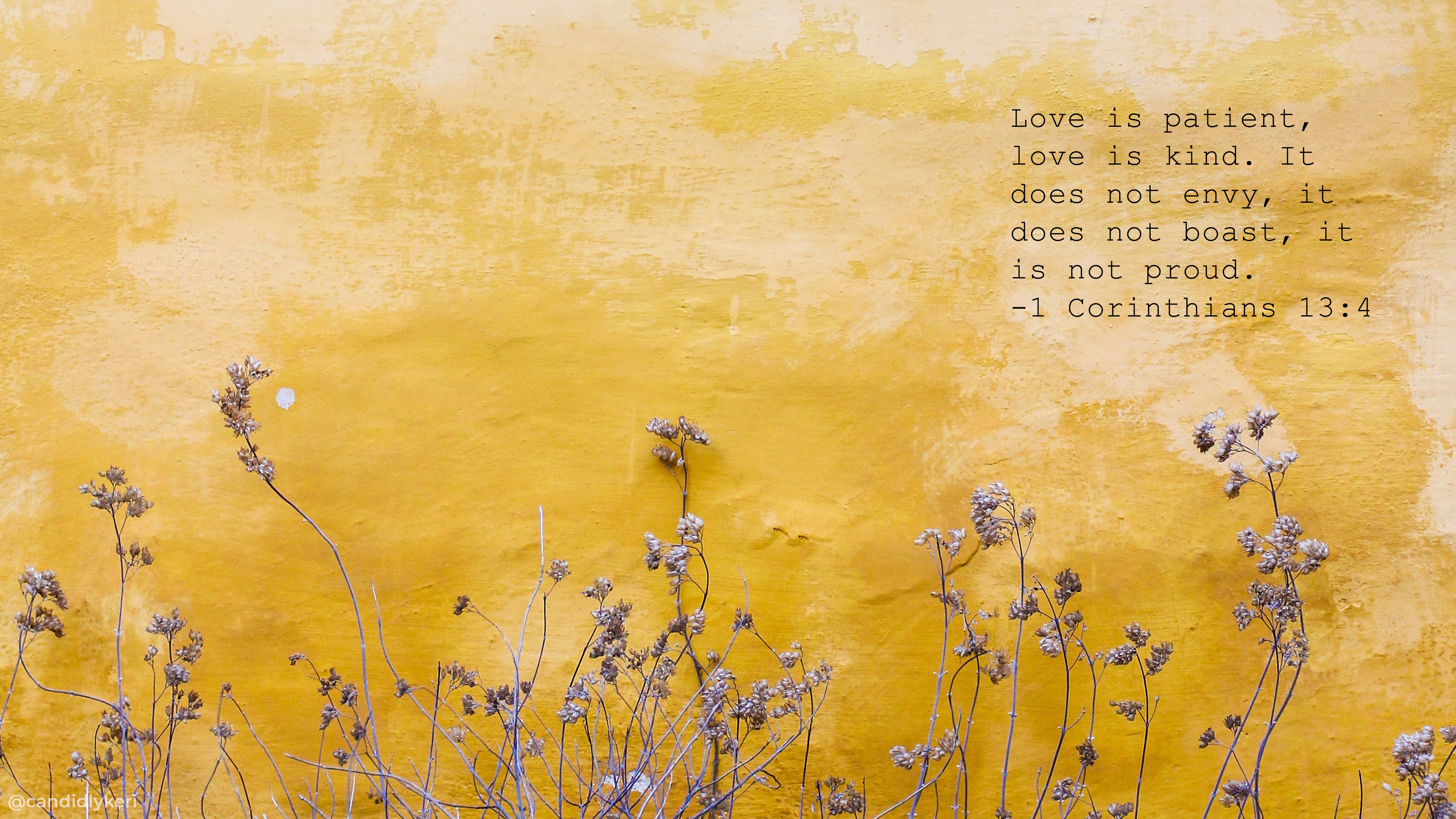 A yellow wall with a verse from 1 Corinthians 13:4. - MacBook, desktop, iMac, spring