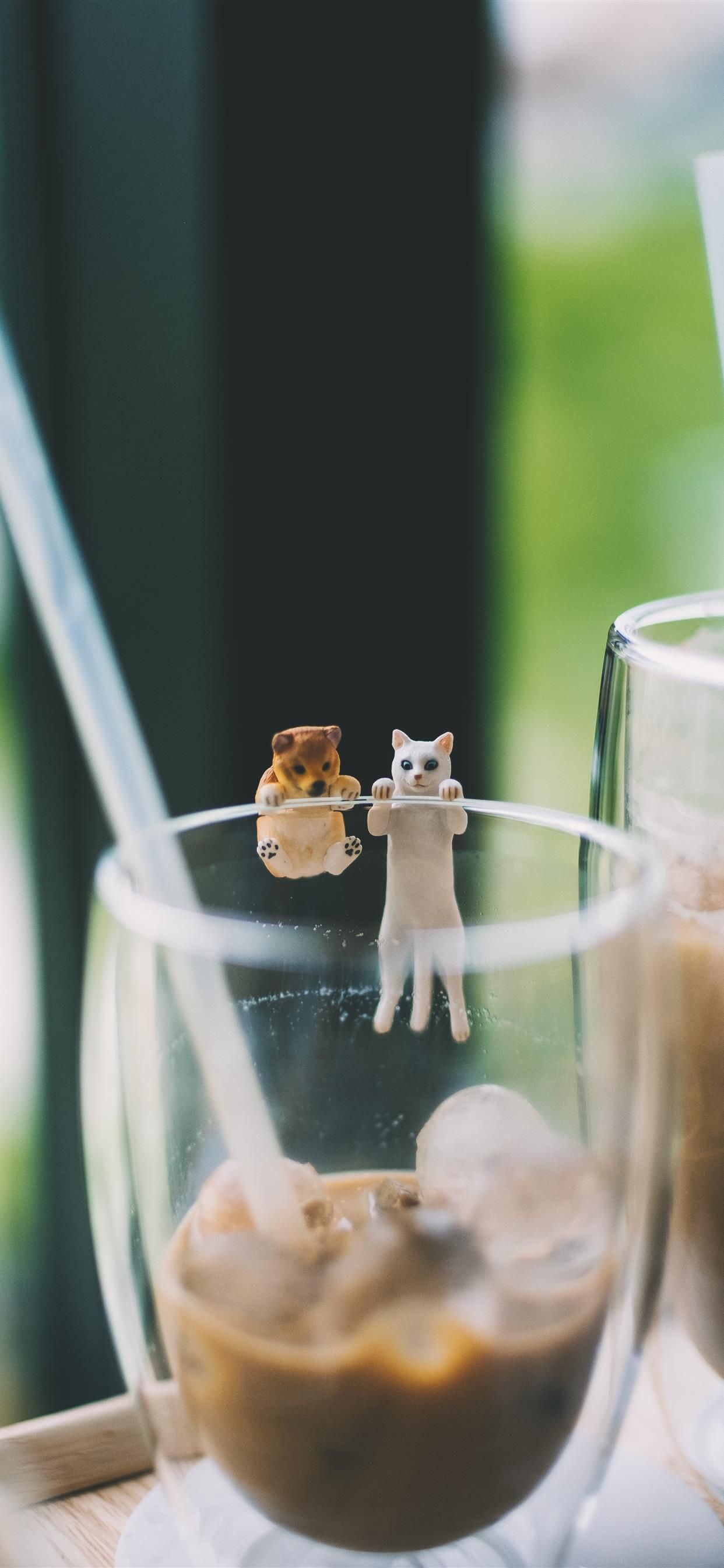 A glass of coffee with a cat on it - Cat, dog