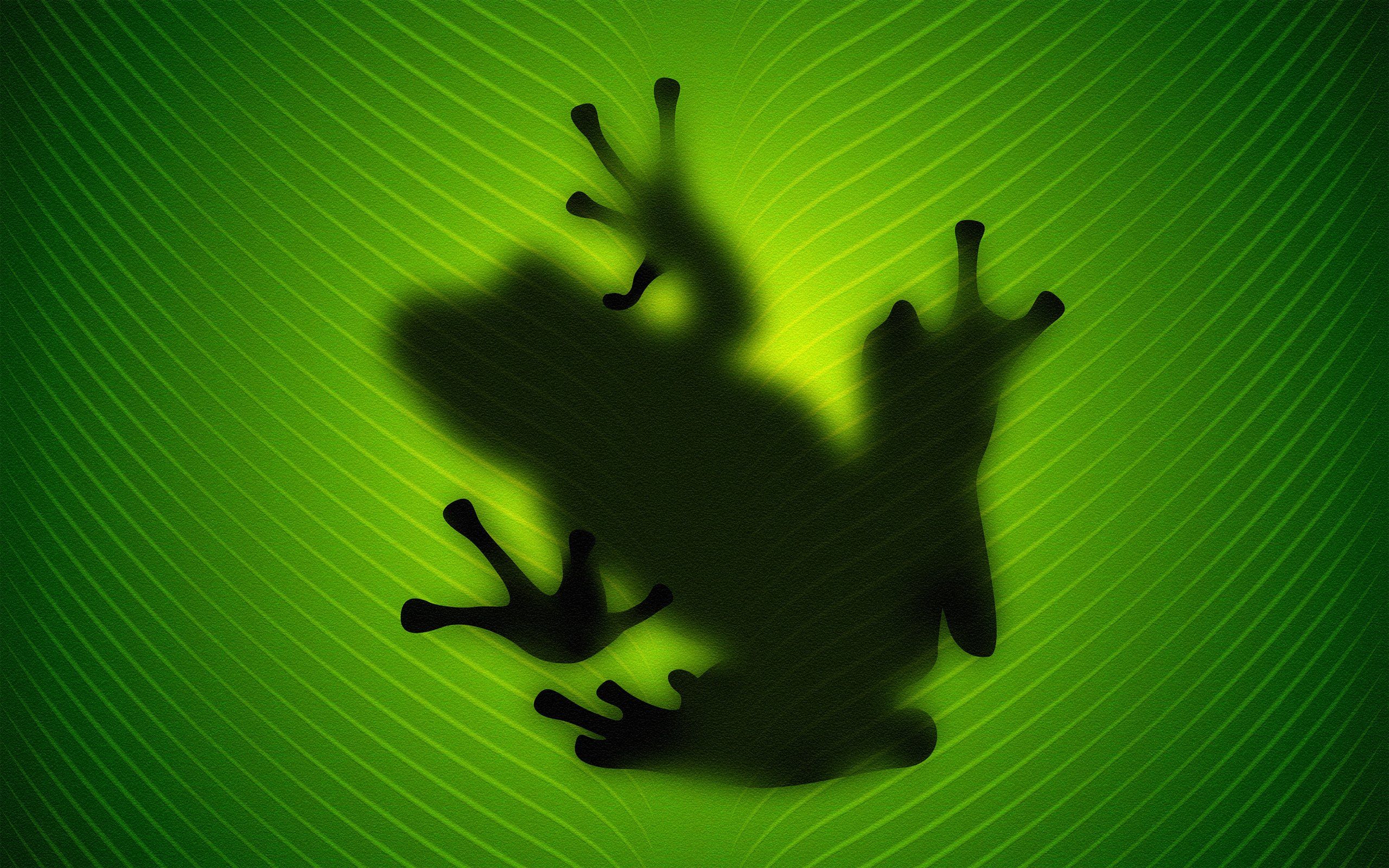 Frog Desktop HD wallpaper