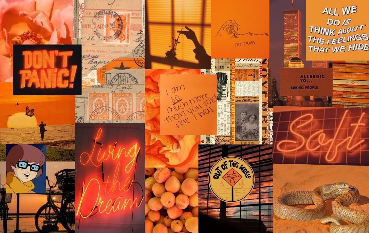 A collage of orange aesthetic background images - Neon orange, pastel orange, orange, laptop