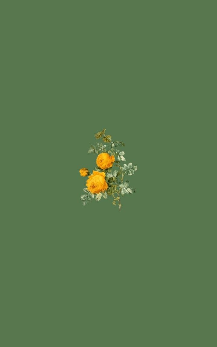 A yellow flower is sitting on top of the green background - Green, simple