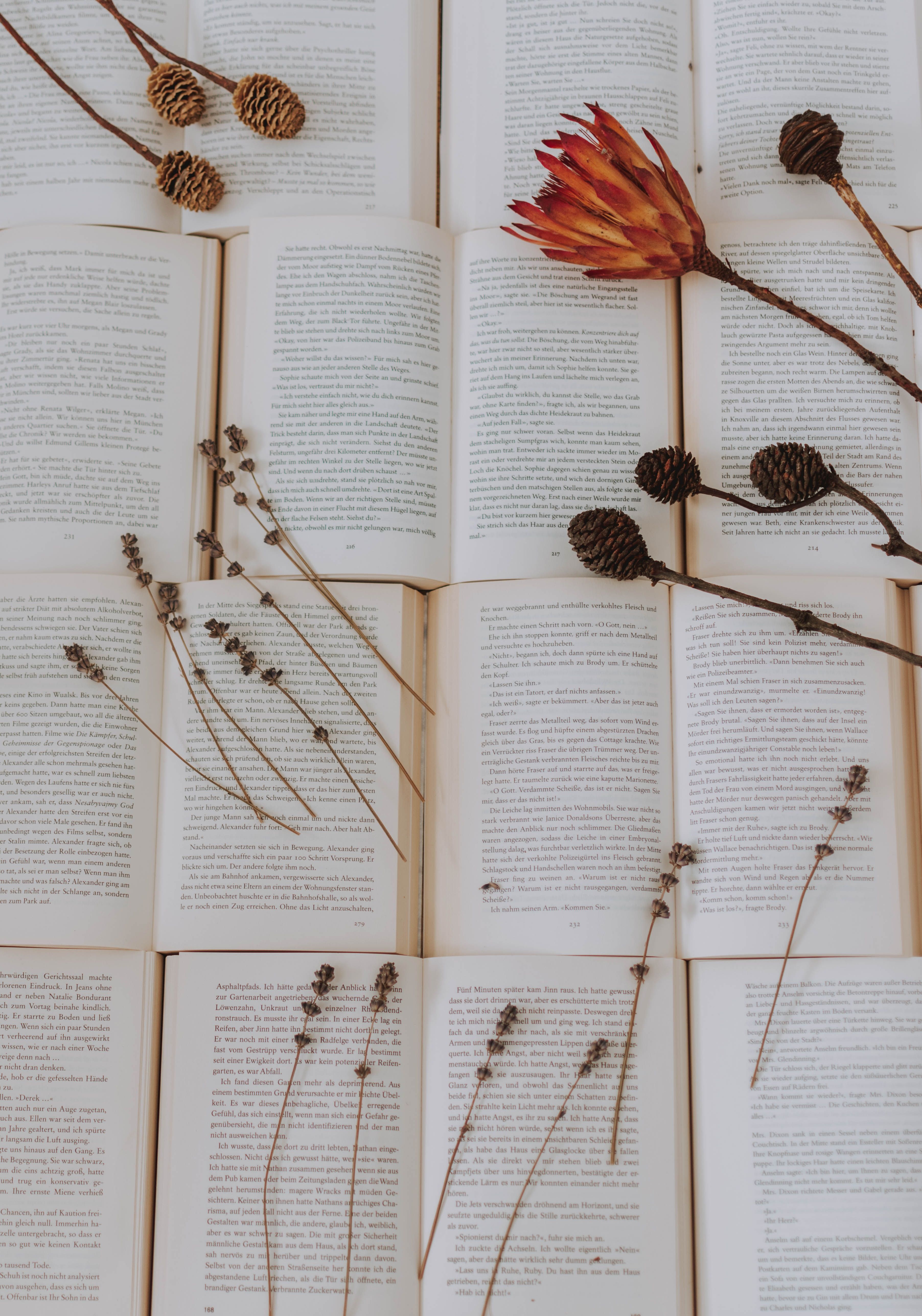 An open book with flowers and pinecones on top - Books