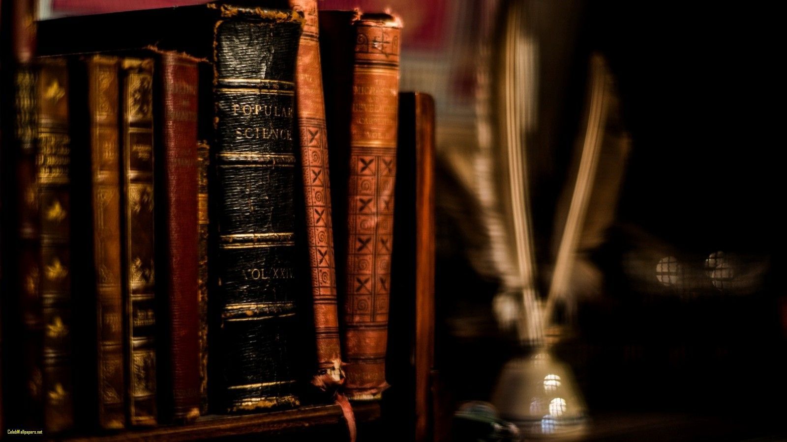 Old books on a shelf with a feather quill in the foreground. - Books