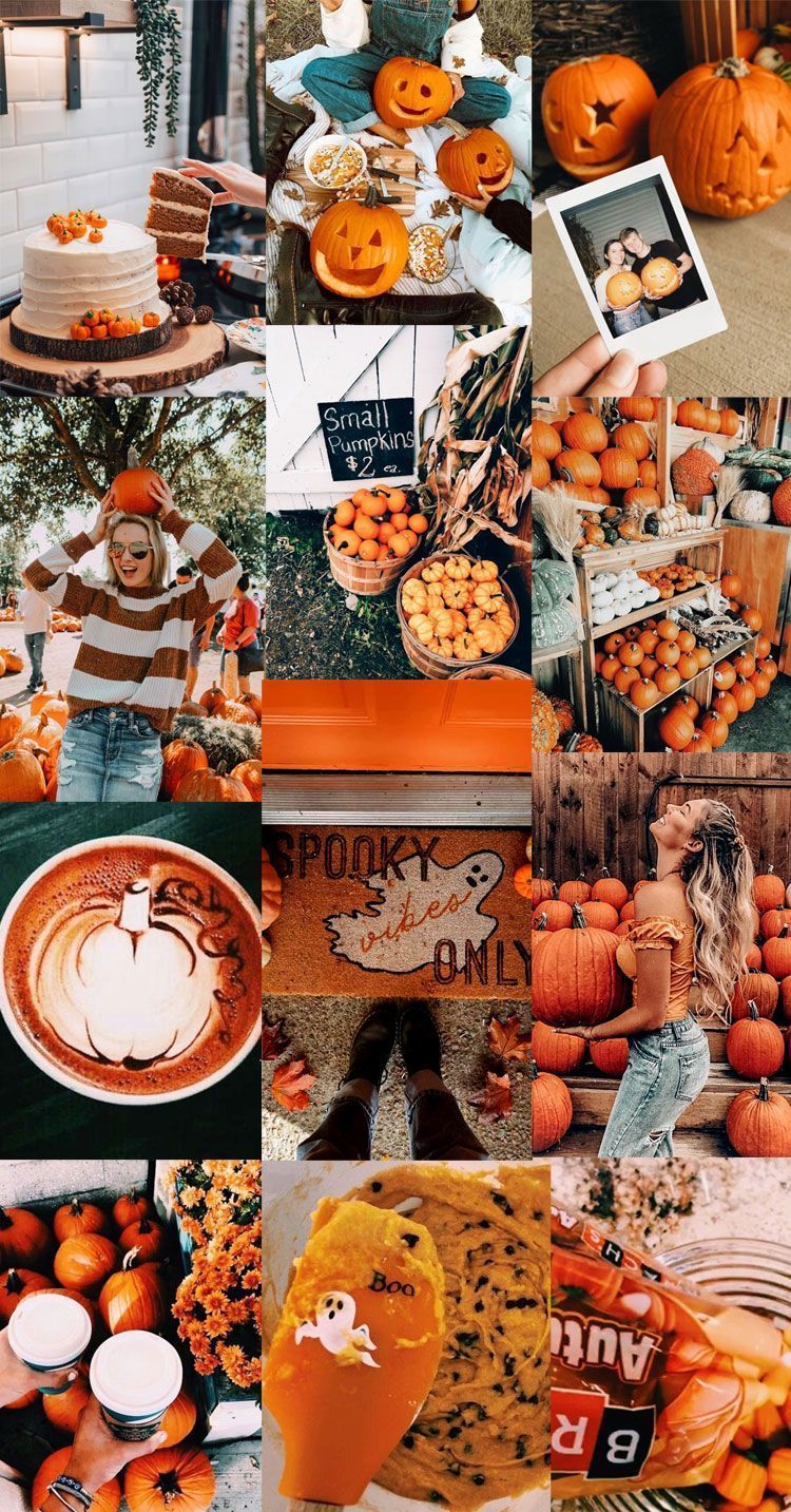 A collage of pumpkin spice latte, pumpkins, and Halloween aesthetic pictures. - Orange, neon orange, fall, pumpkin, fall iPhone