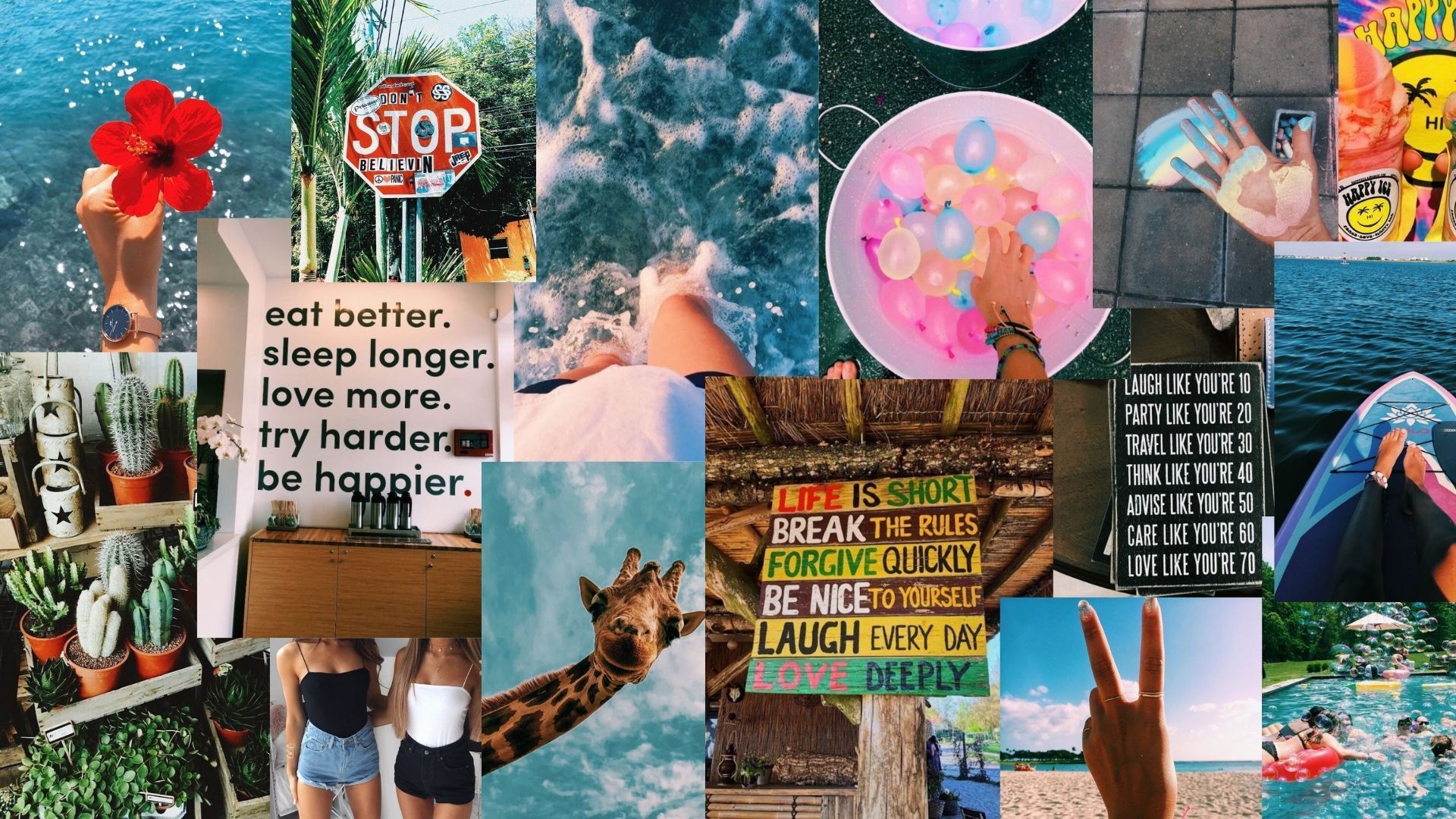 Collage of images including a stop sign, a beach, a giraffe, and a cactus. - Summer, VSCO, Hawaii