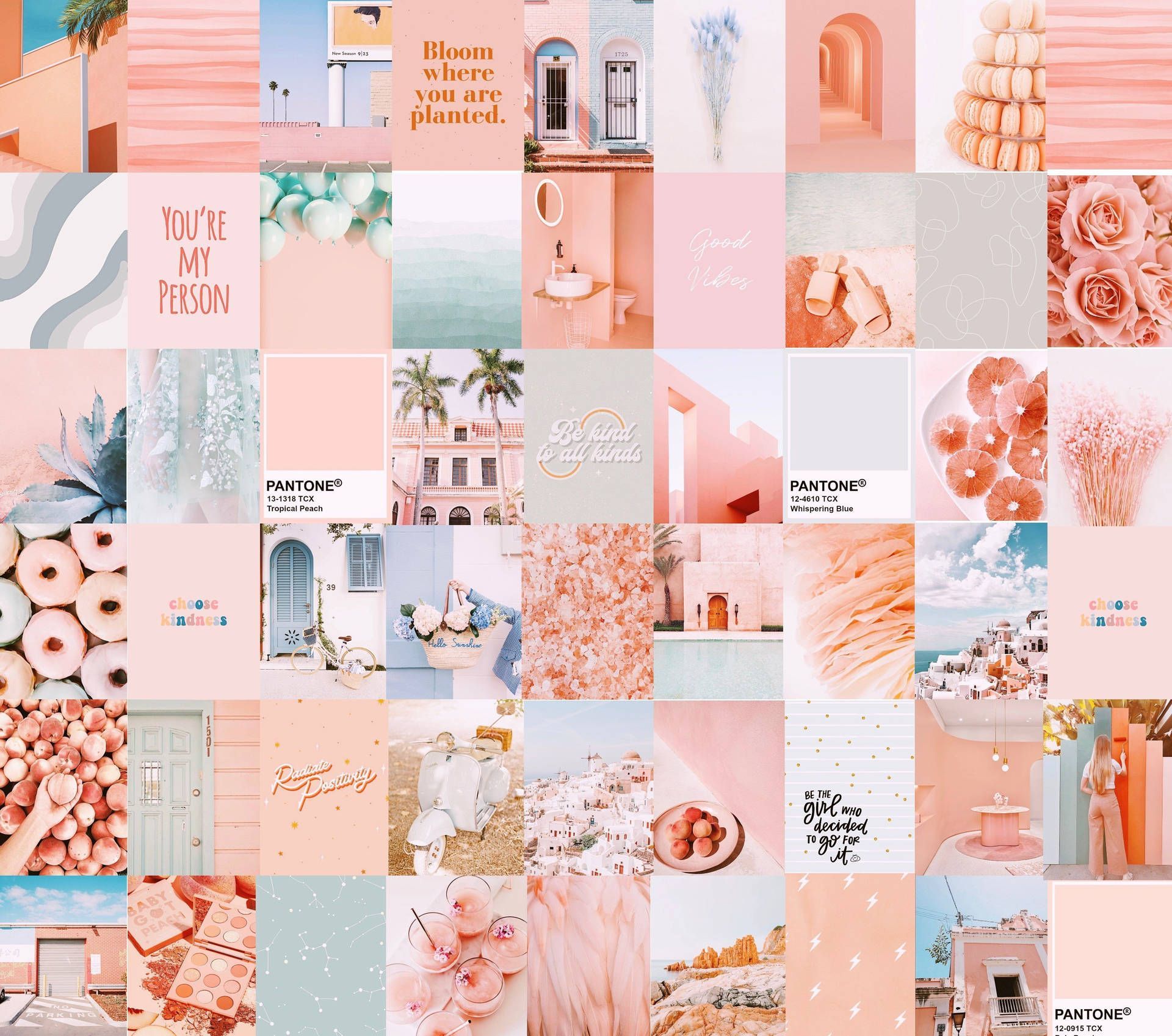 Download Soft Peach Aesthetic Collage Wallpaper