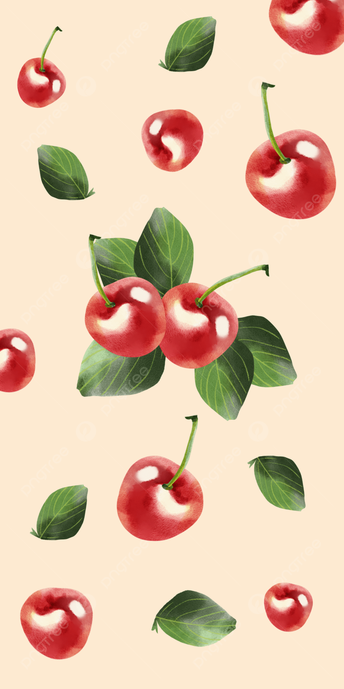 A picture of cherries and leaves. - Fruit