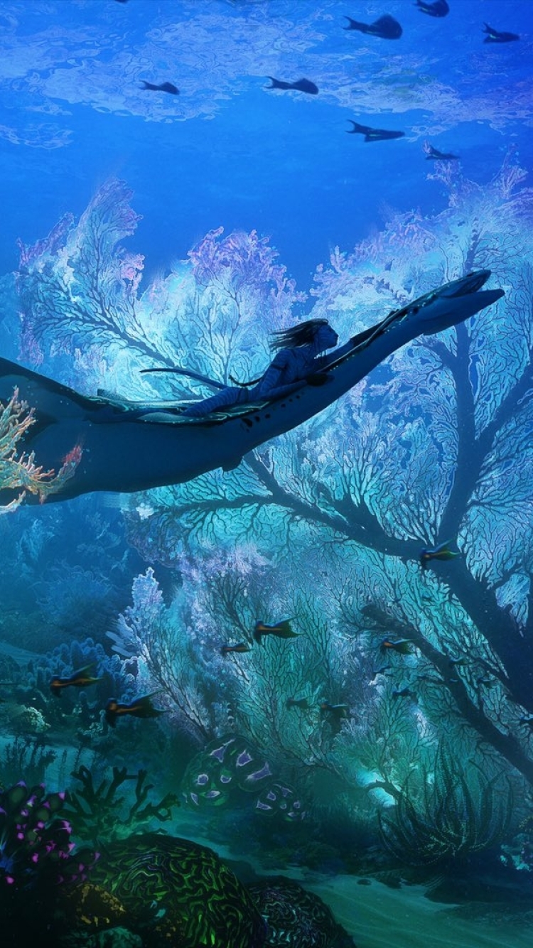 A woman diving in the sea with fish and corals - Coral, water
