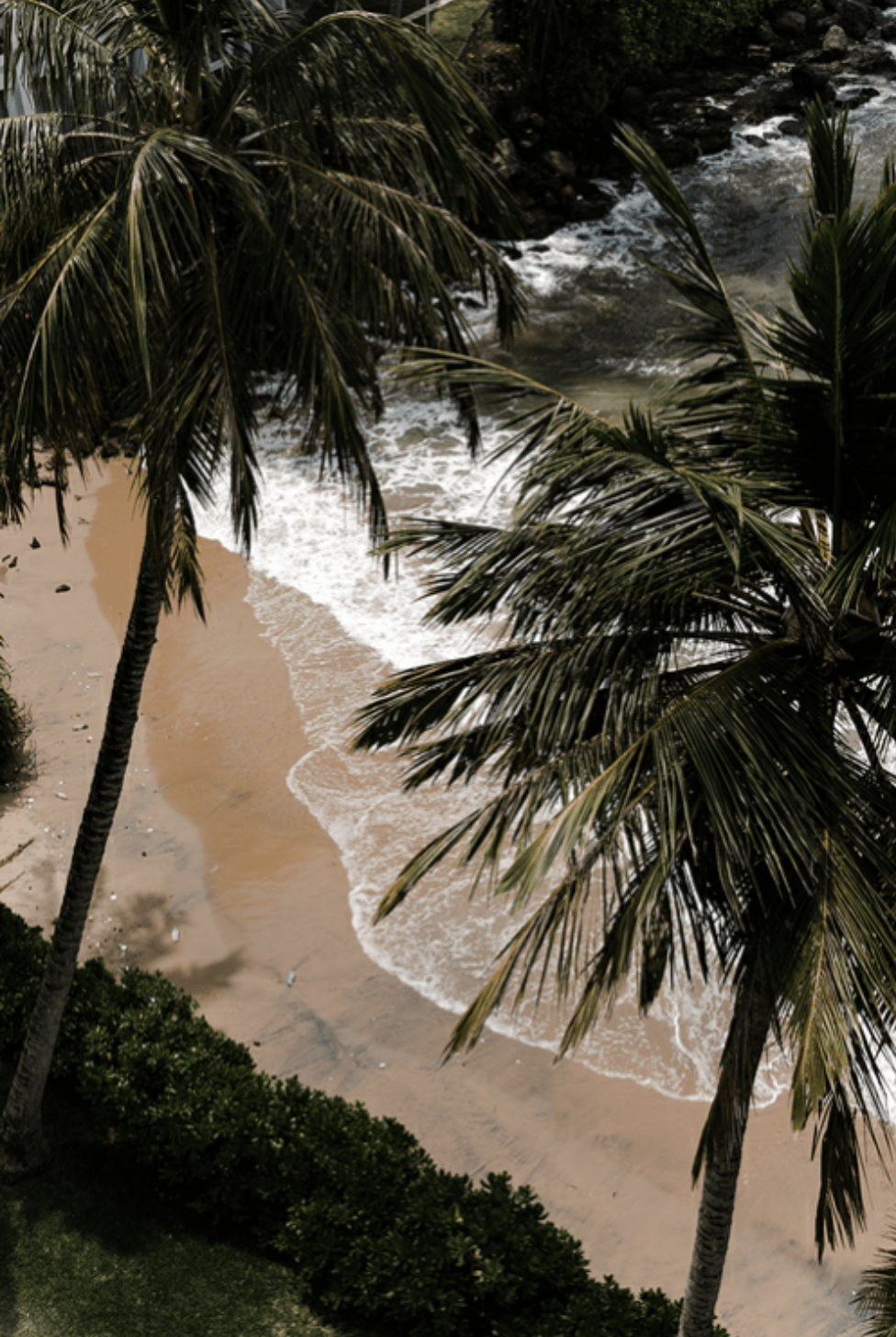 A photo of a beach with palm trees and waves crashing on the shore. - Hawaii