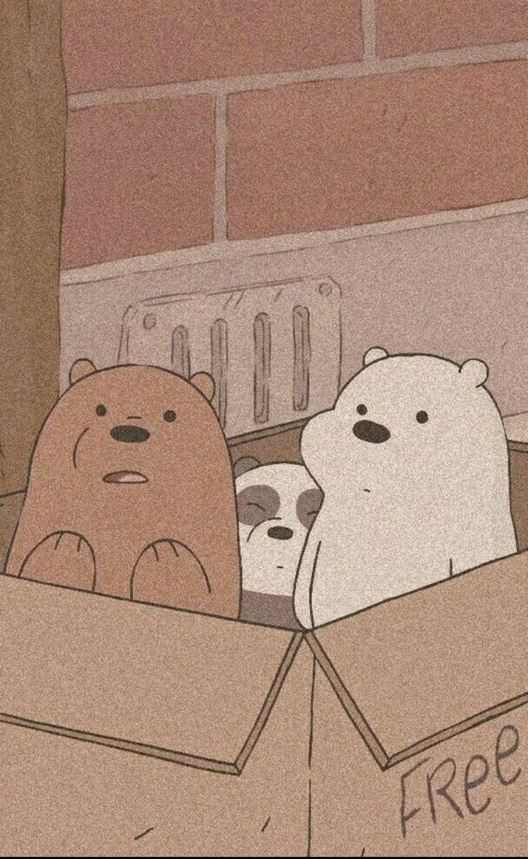 Three bears in a box wallpaper - We Bare Bears