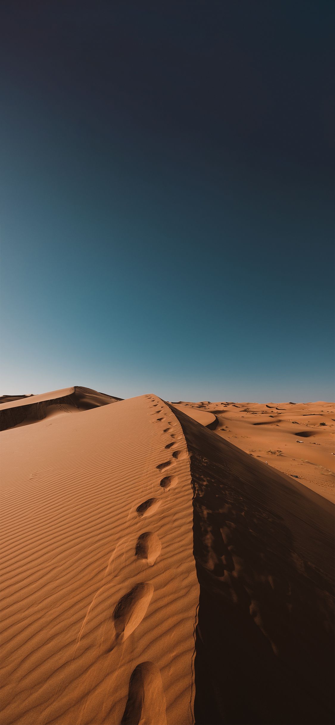 A sand dune in the desert with footprints in the sand - Desert