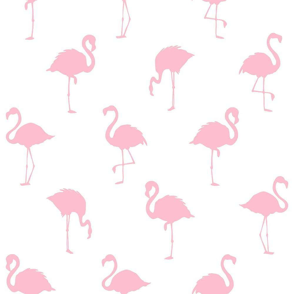 ESTA Home Lovett Pink Flamingo Paper Strippable Wallpaper (Covers 56.4 sq. ft.) DD138992 Home Depot. Pink flamingo wallpaper, Flamingo wallpaper, Pink flamingos